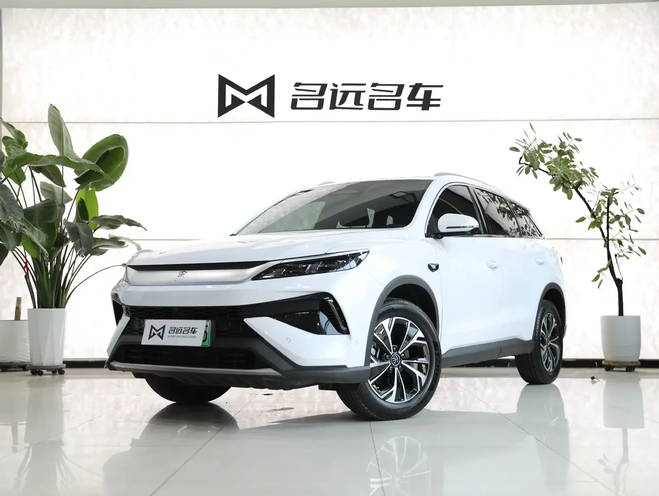 BYD Song Pro DM