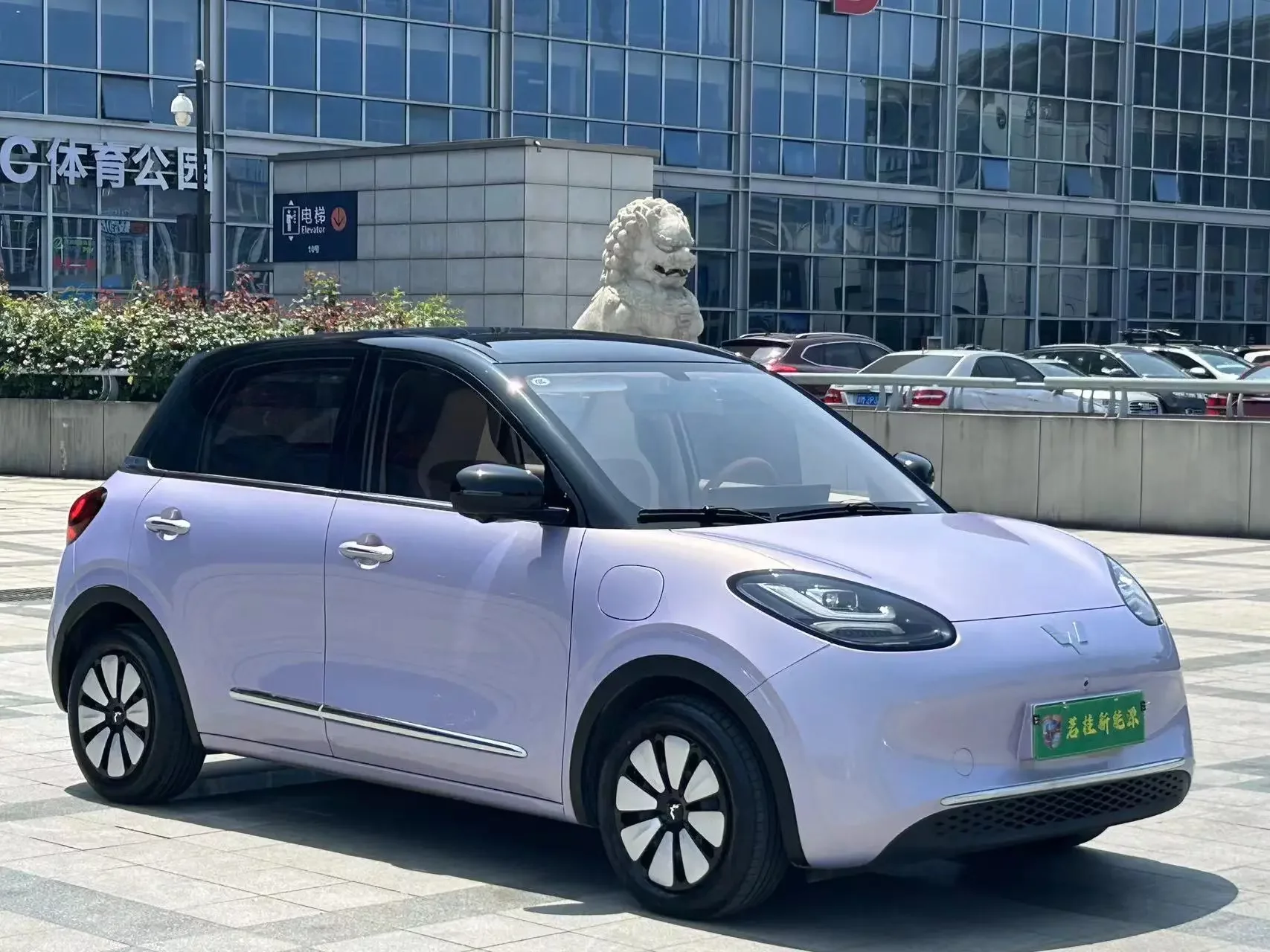 Wuling Bingo