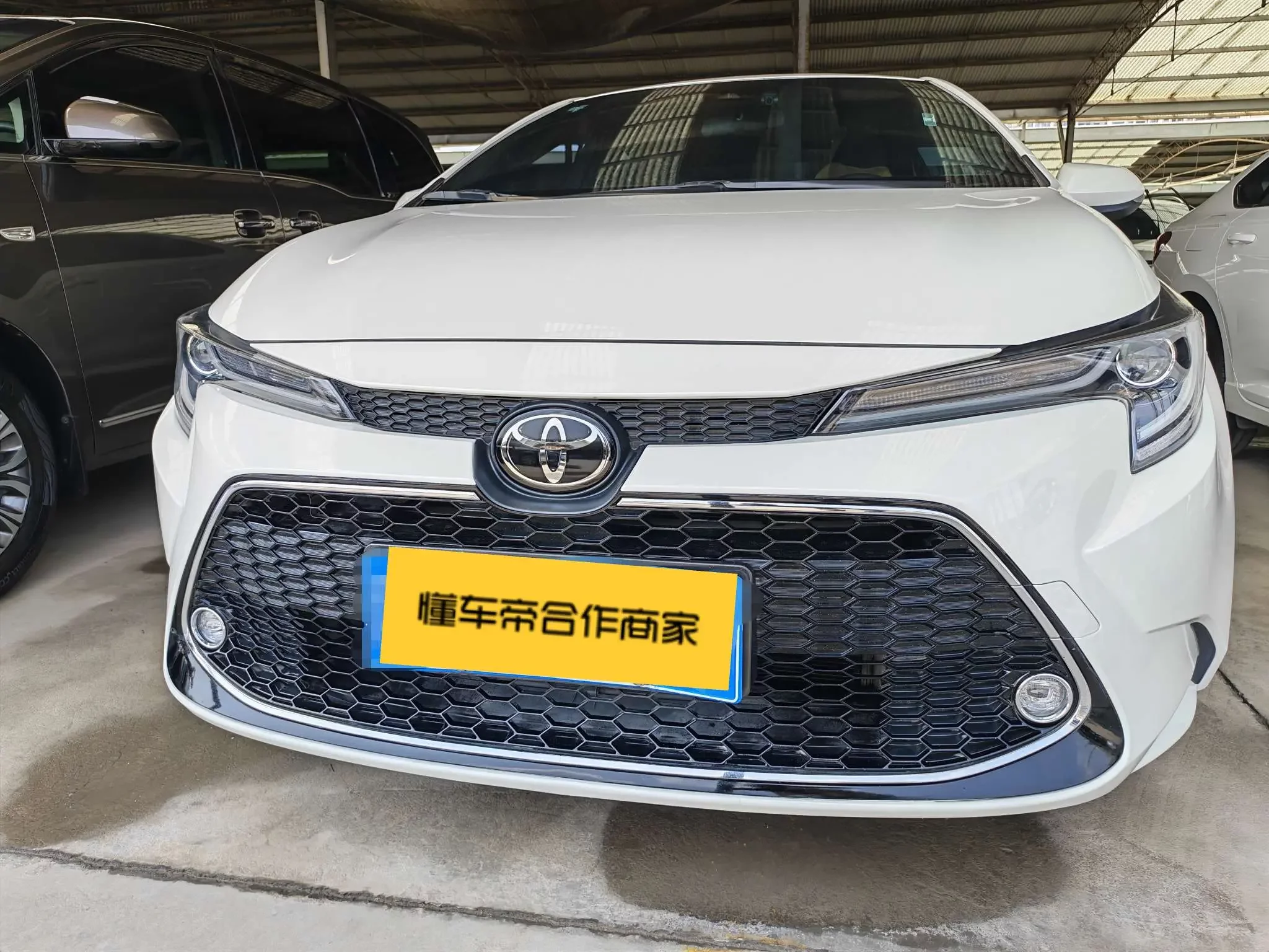 Toyota Levin