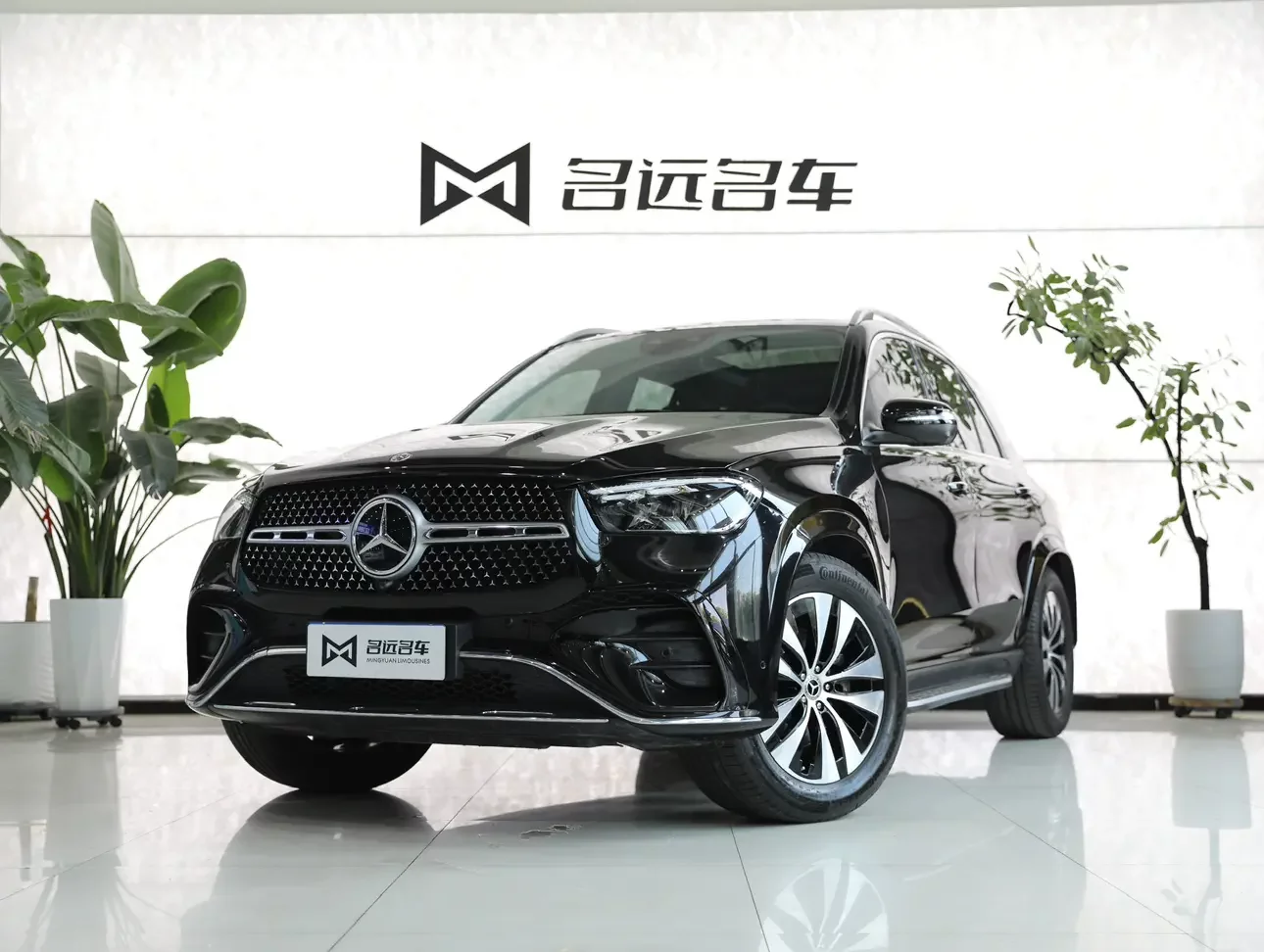 Mercedes-Benz GLE (Imported)