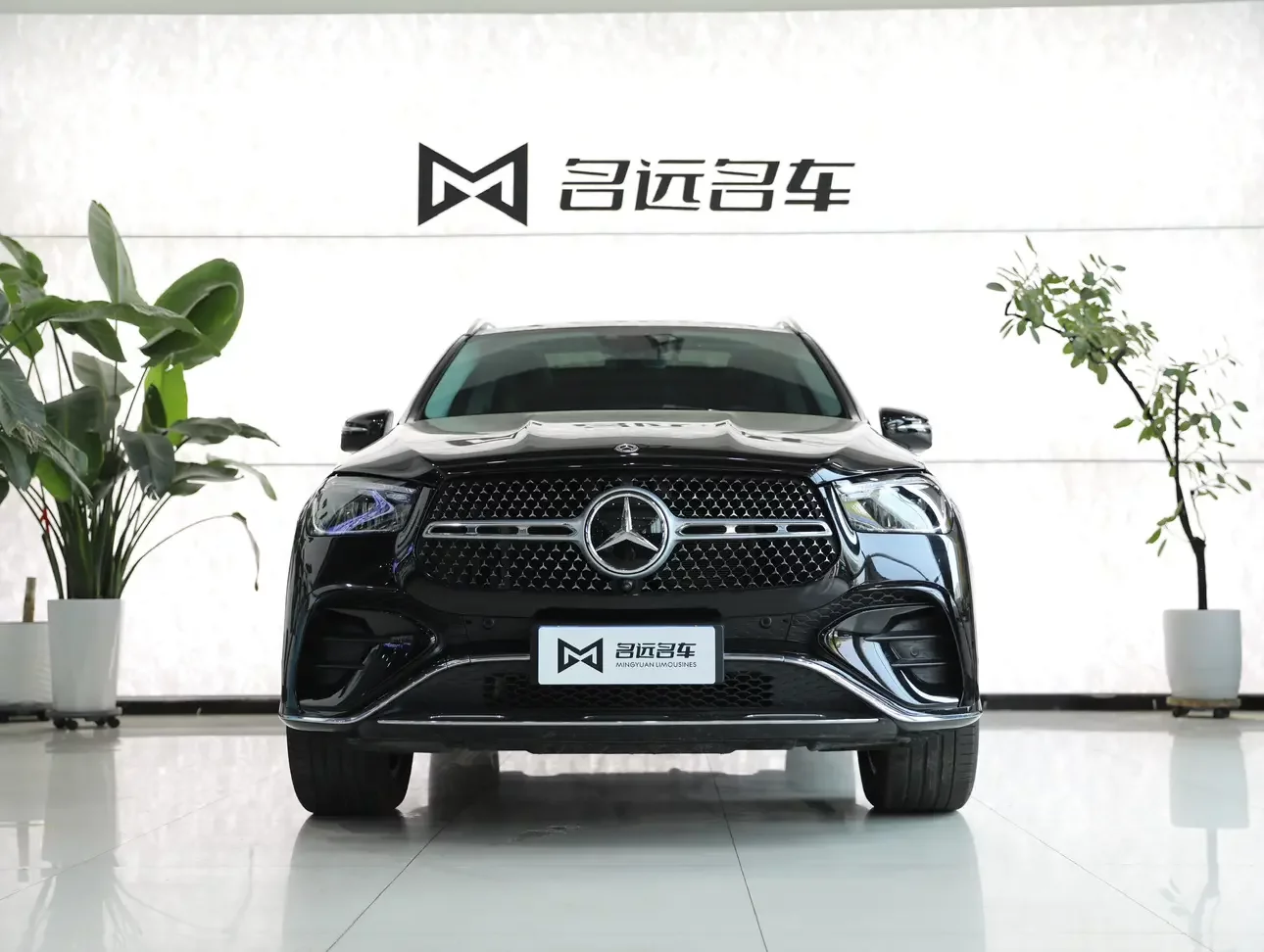 Mercedes-Benz GLE (Imported)