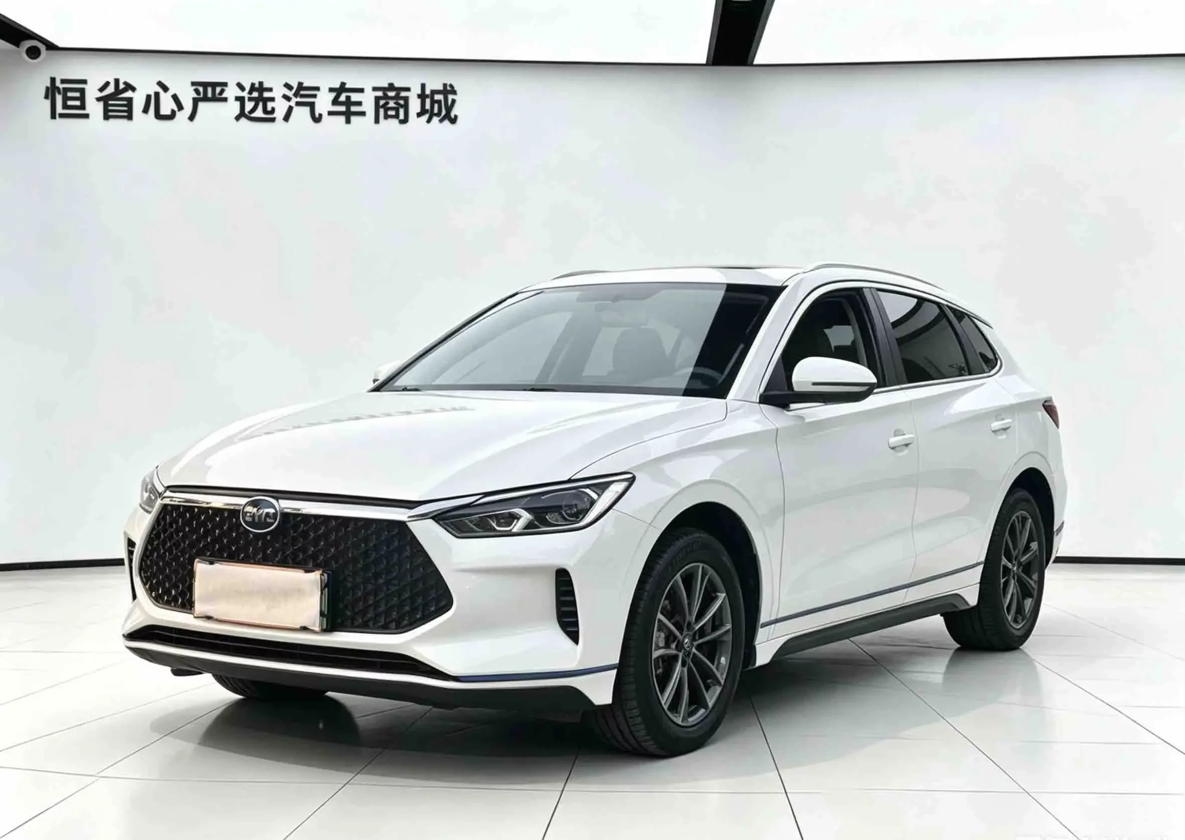 BYD e2