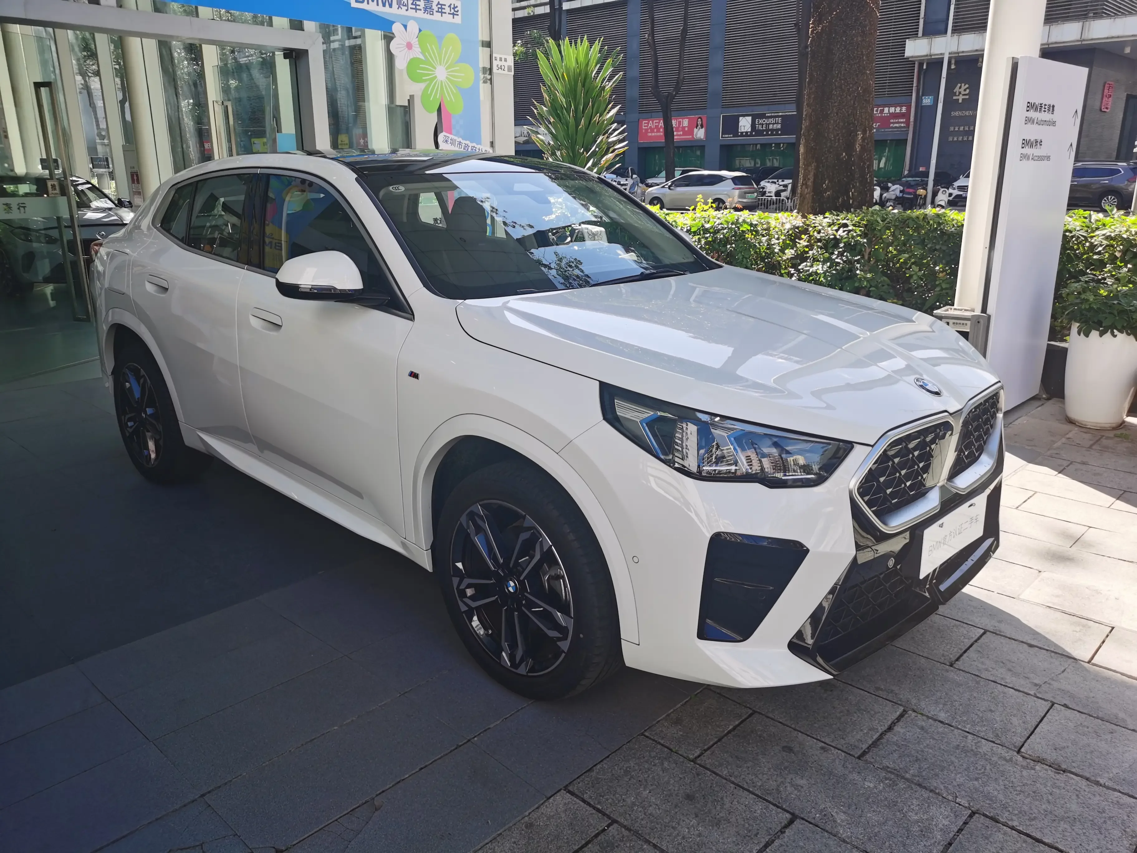 BMW X2