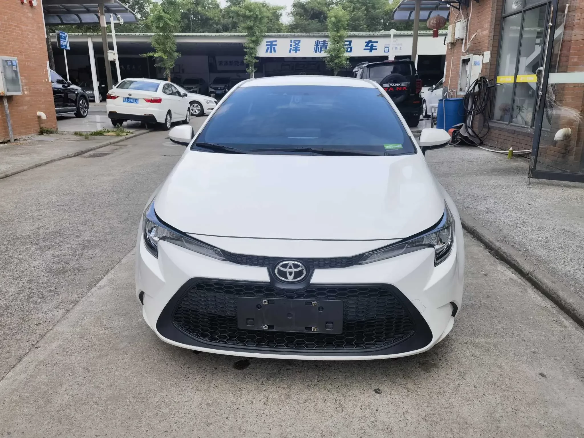 Toyota Levin