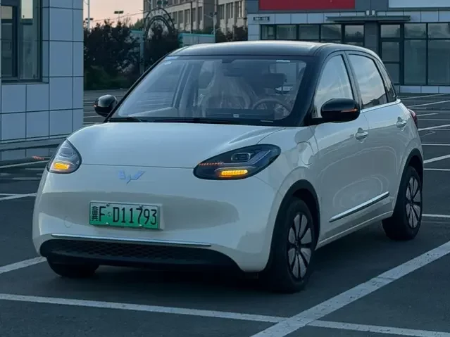 Wuling Bingo