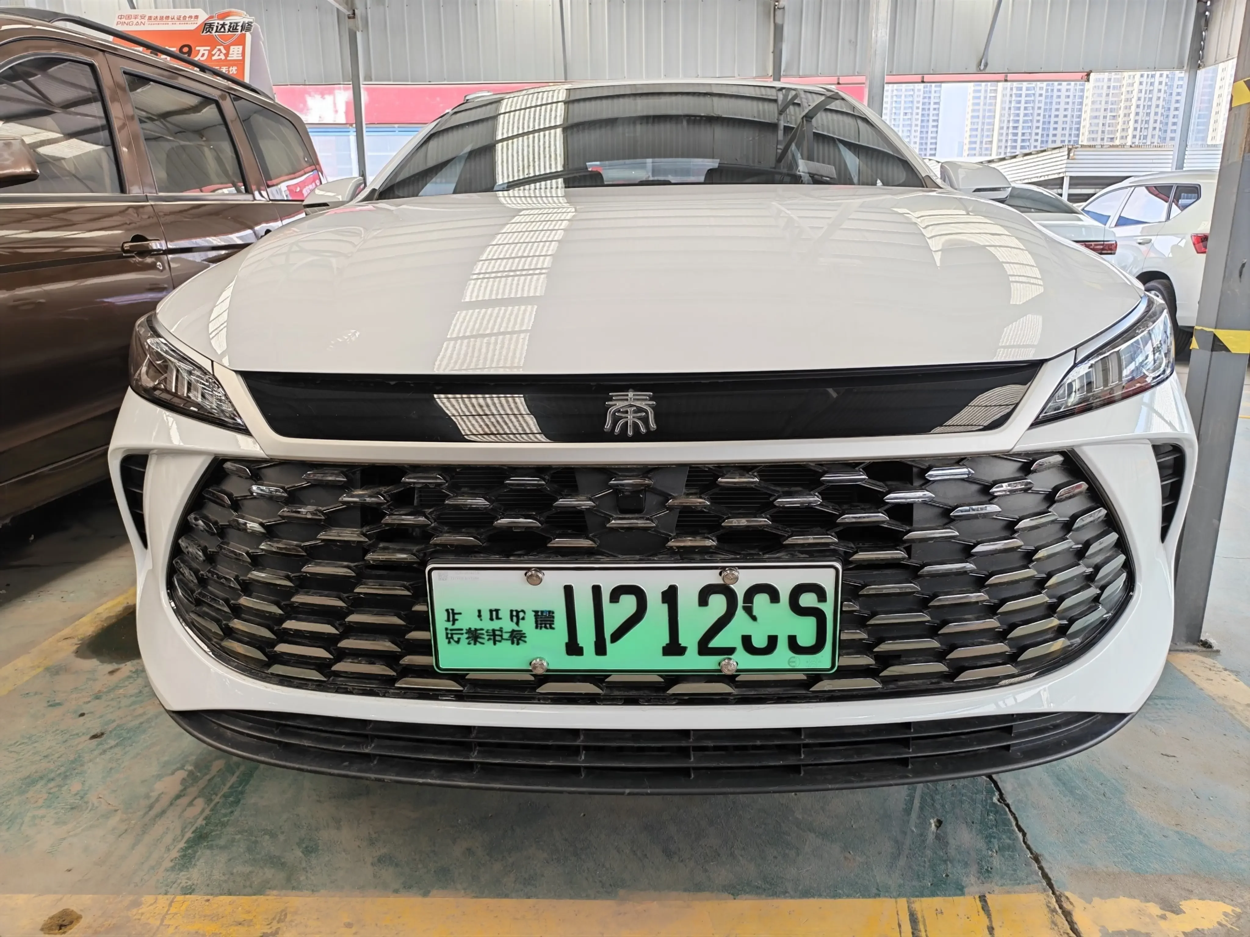 BYD Qin PLUS DM