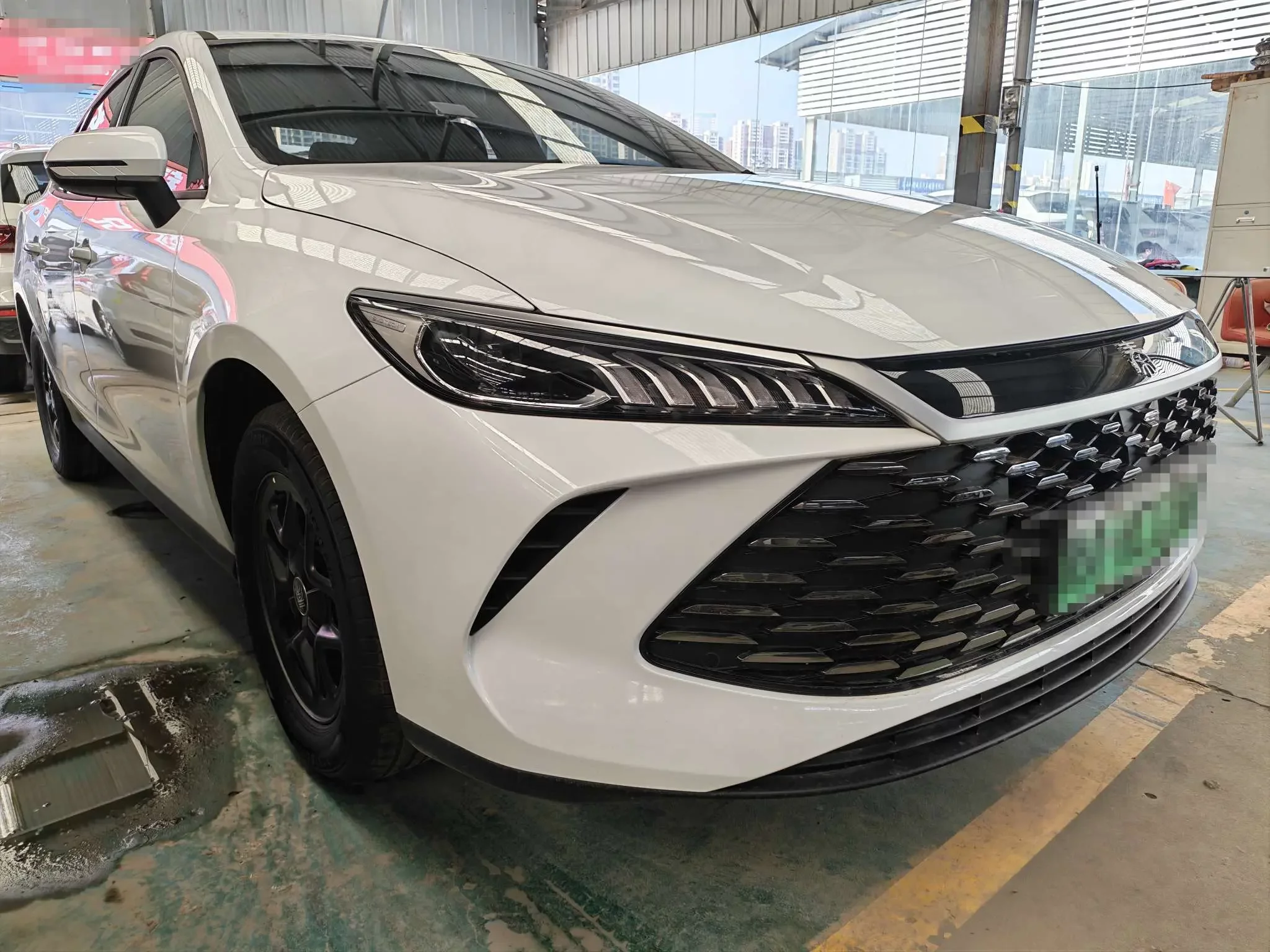BYD Qin PLUS DM