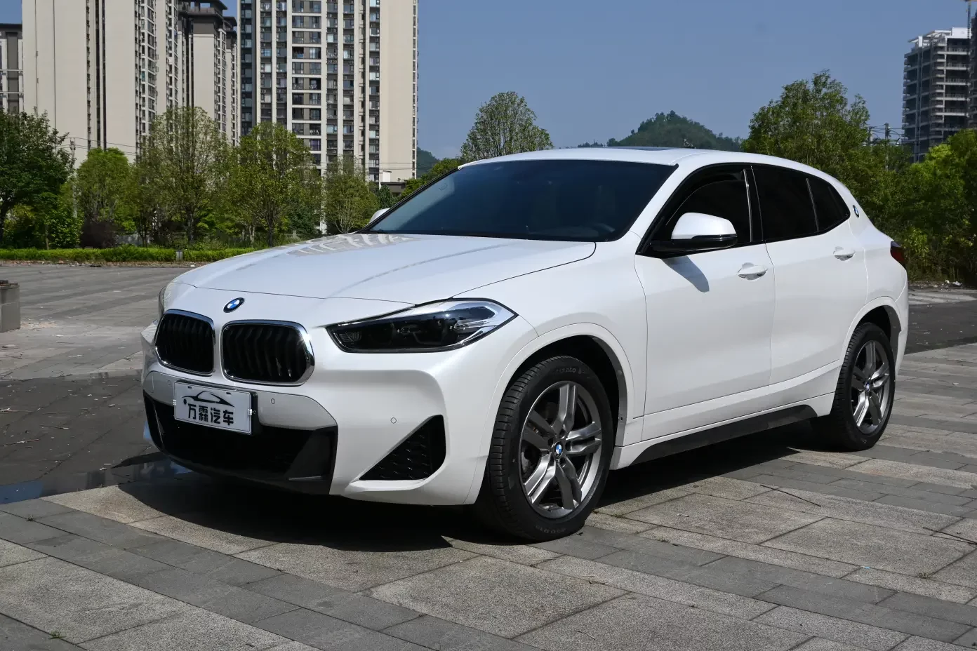 BMW X2
