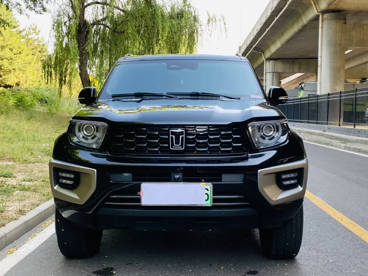 Tank 700 Hi4-T