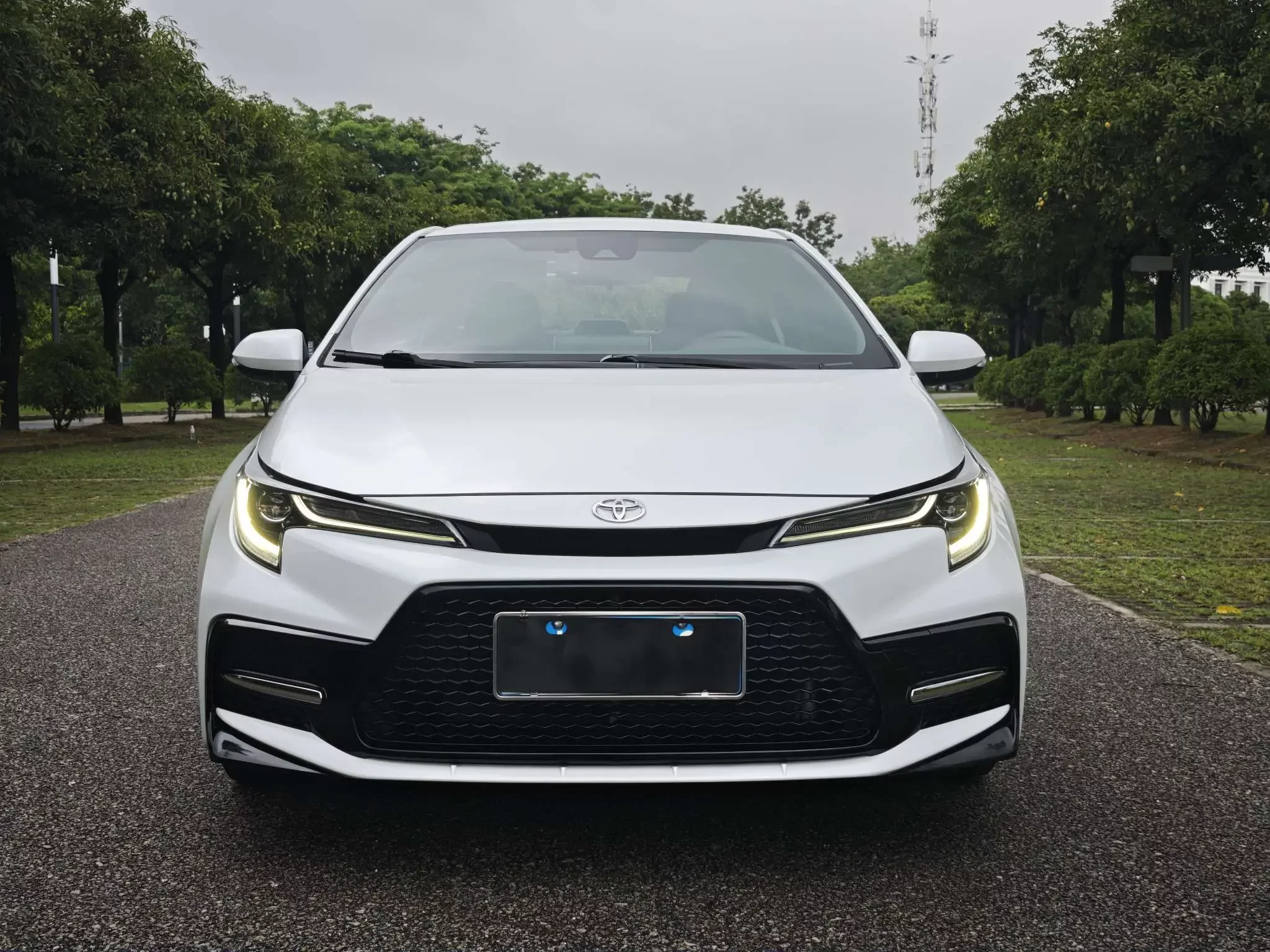 Toyota Levin