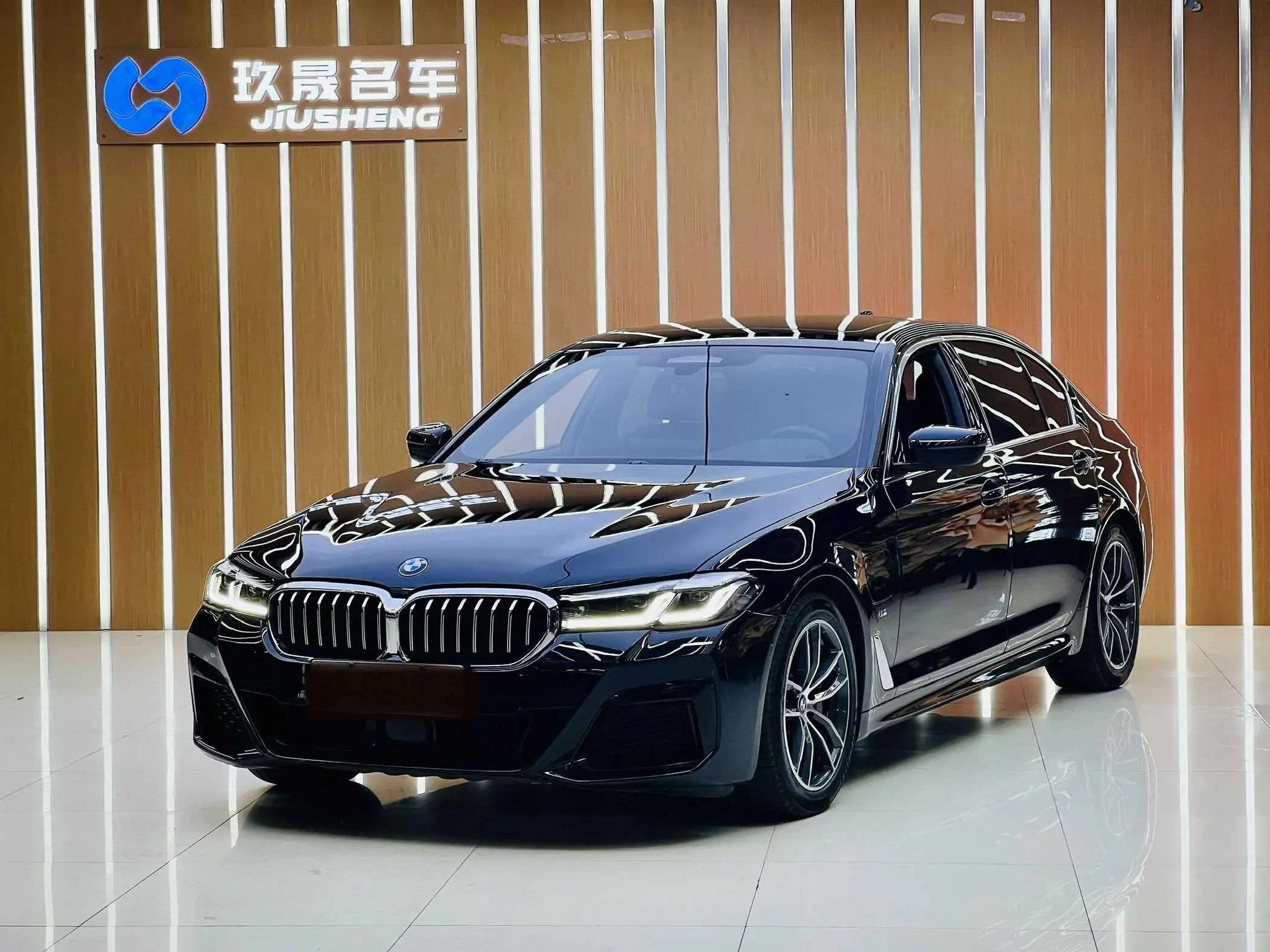 BMW 5 Series PHEV