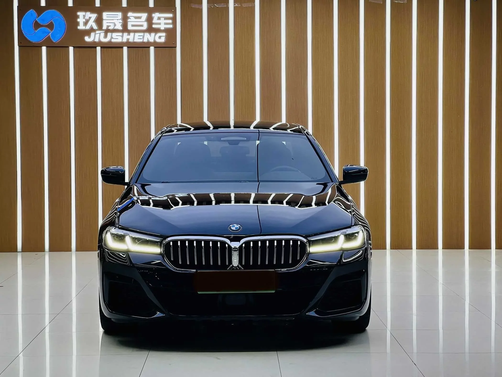 BMW 5 Series PHEV