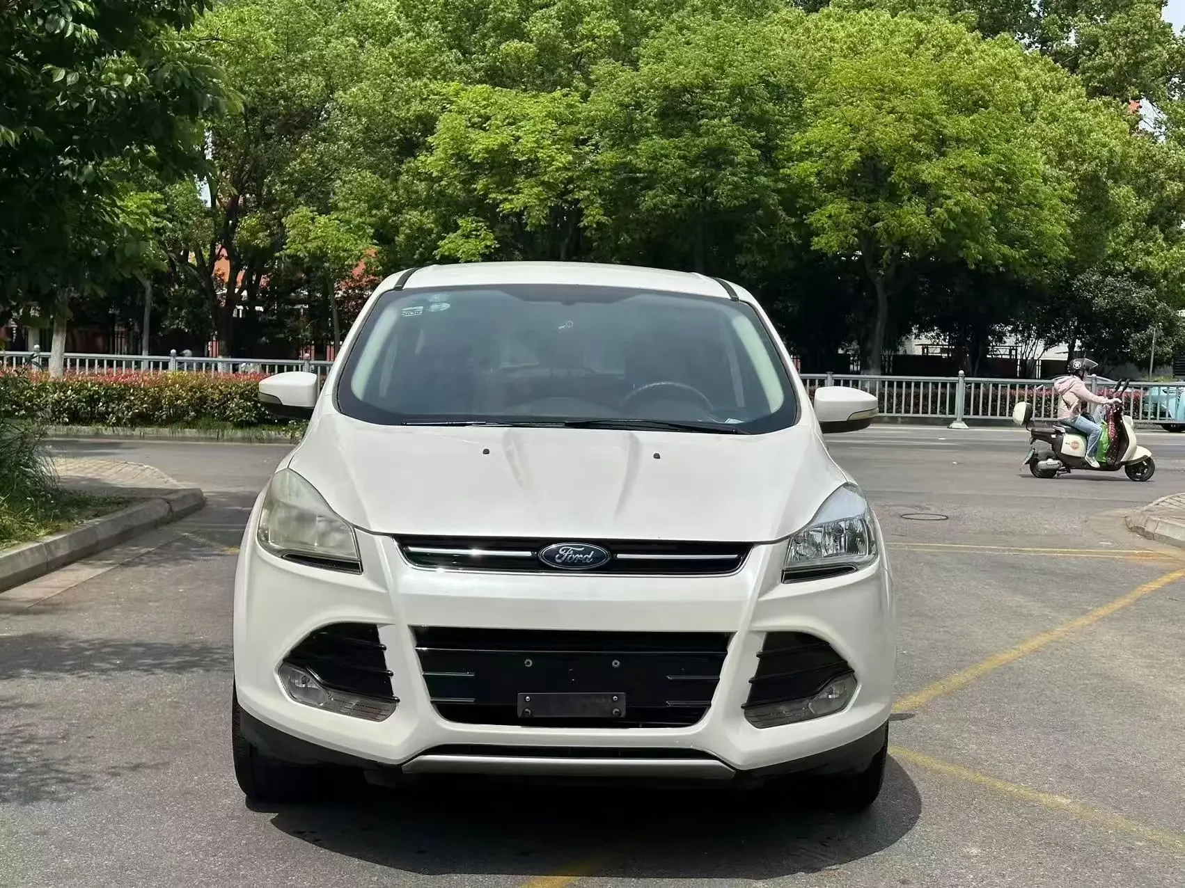 Ford wing tiger