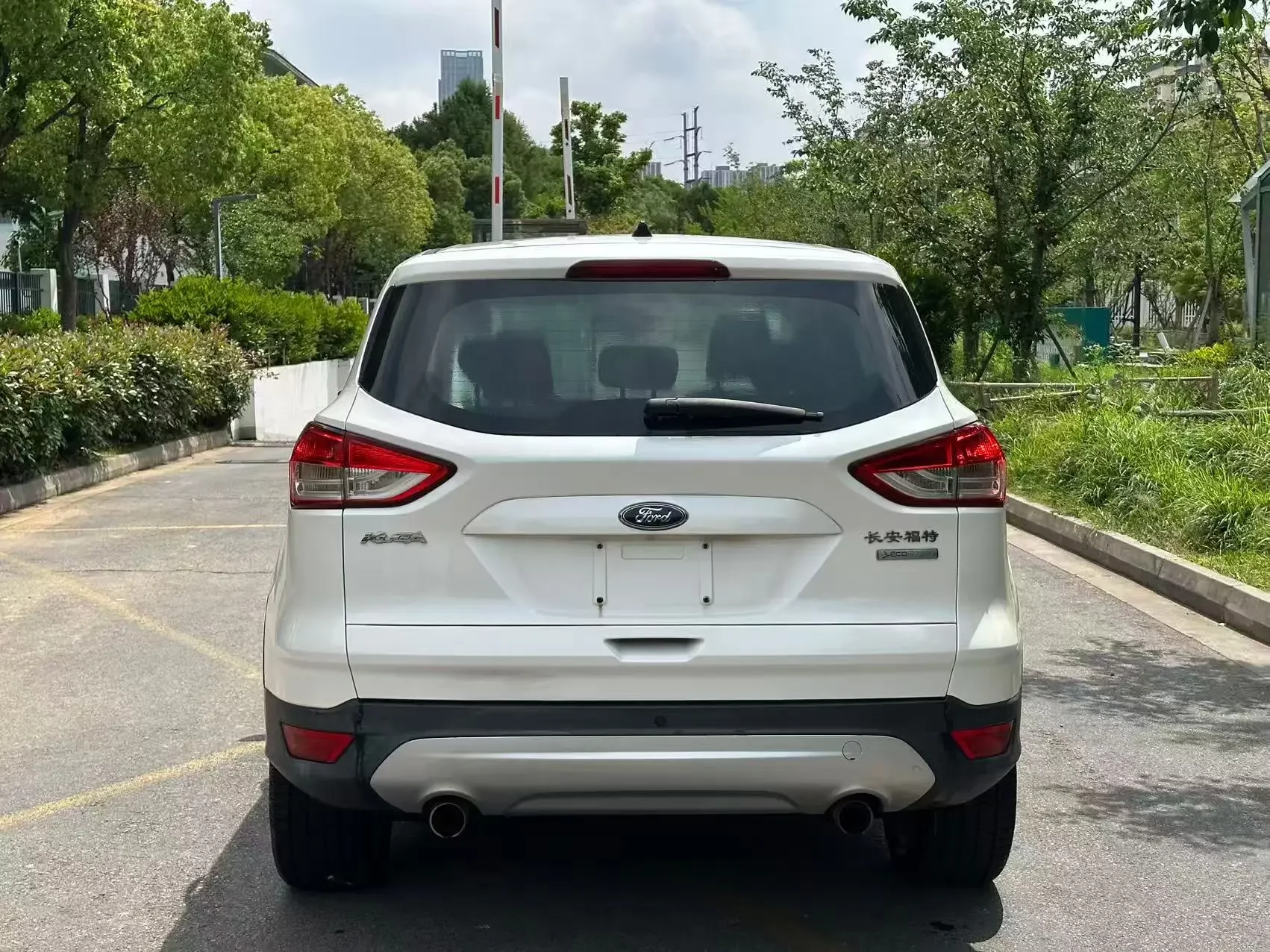 Ford wing tiger