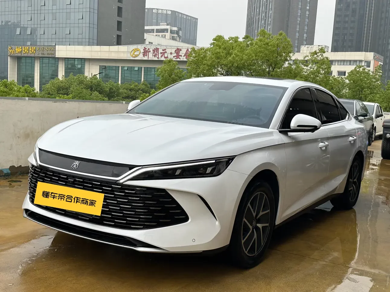 BYD Qin L DM