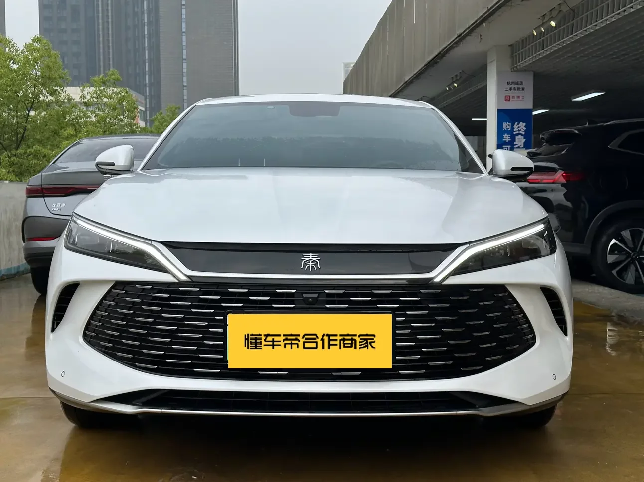 BYD Qin L DM