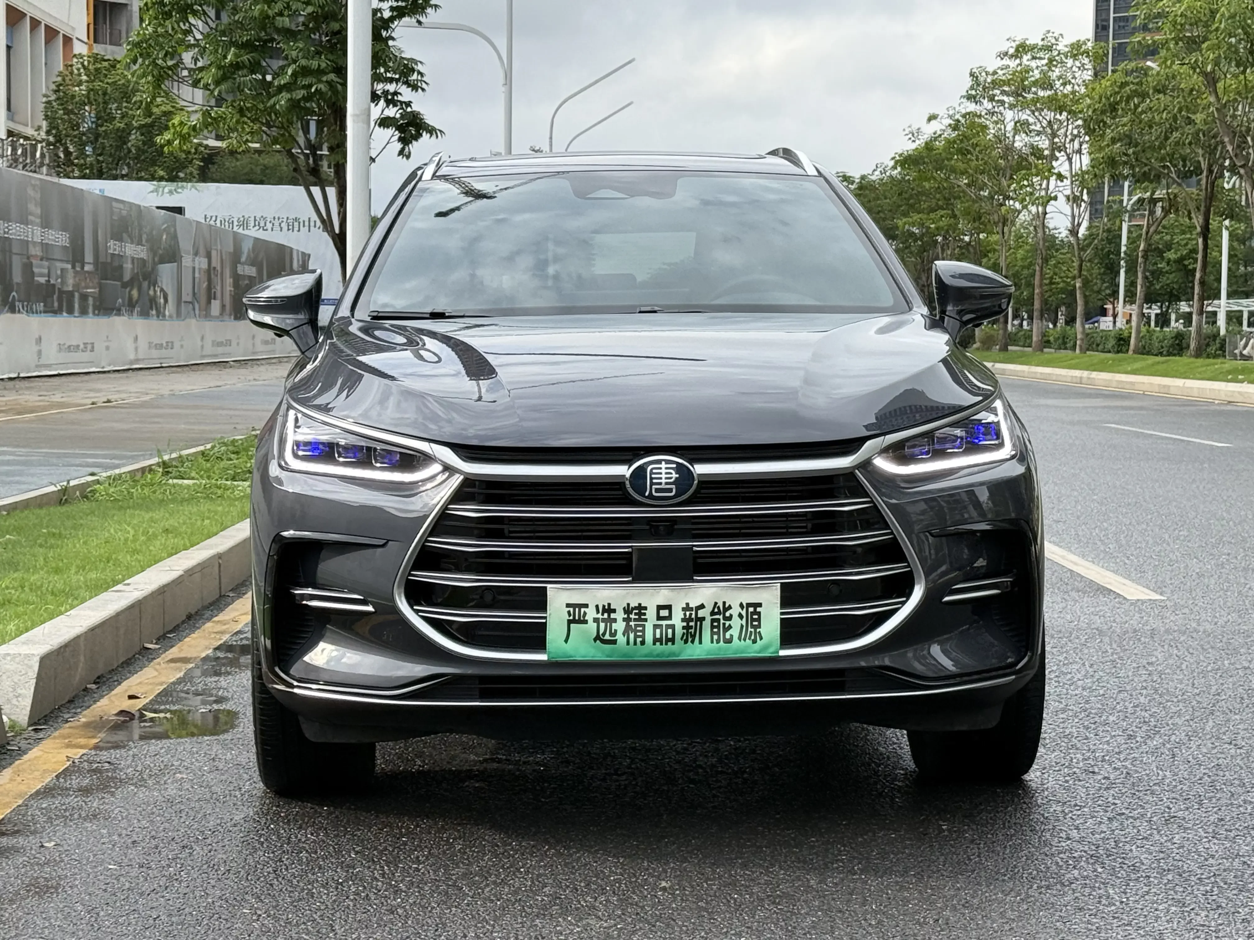 BYD Tang DM