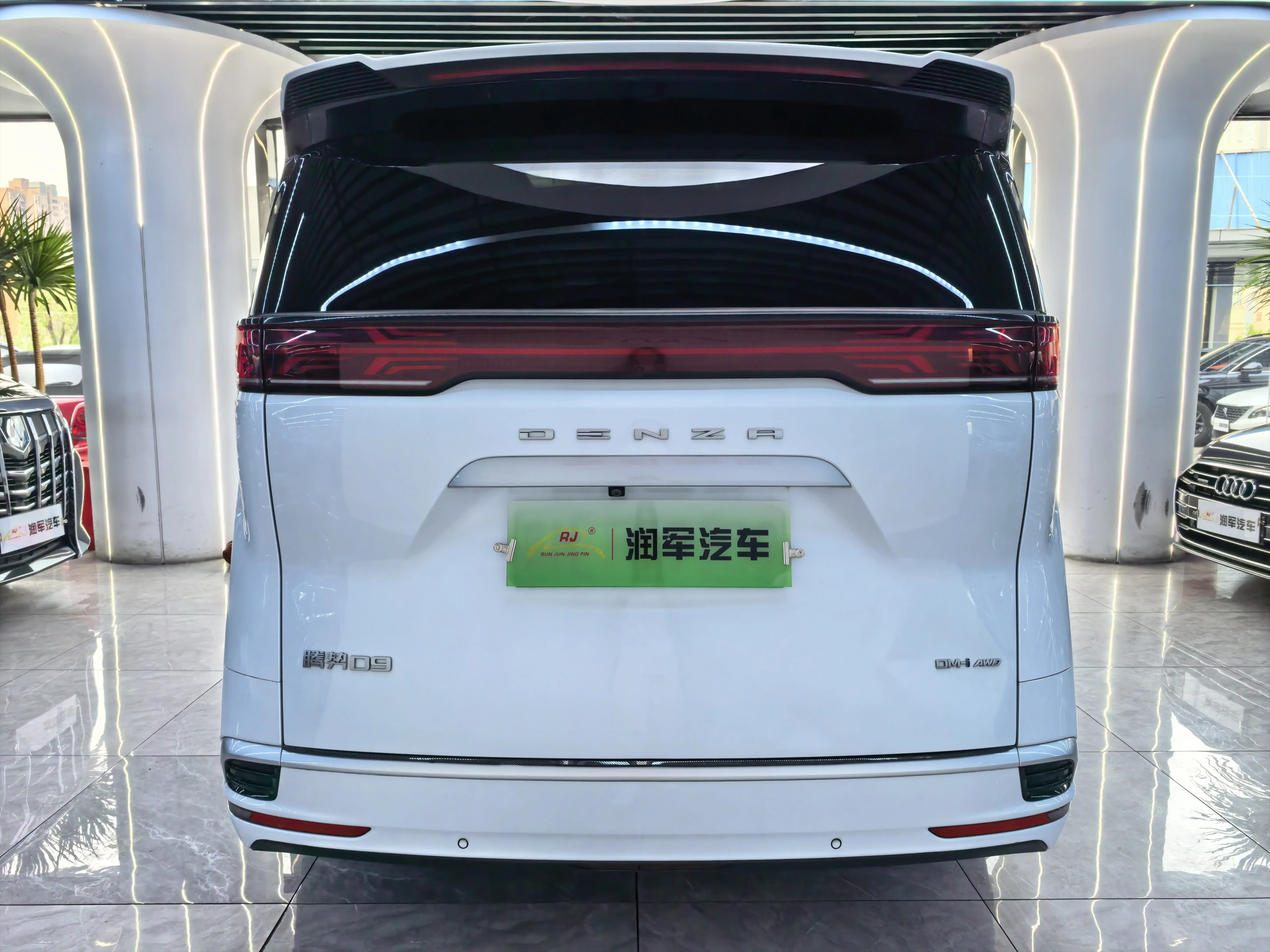 Denza D9 DM