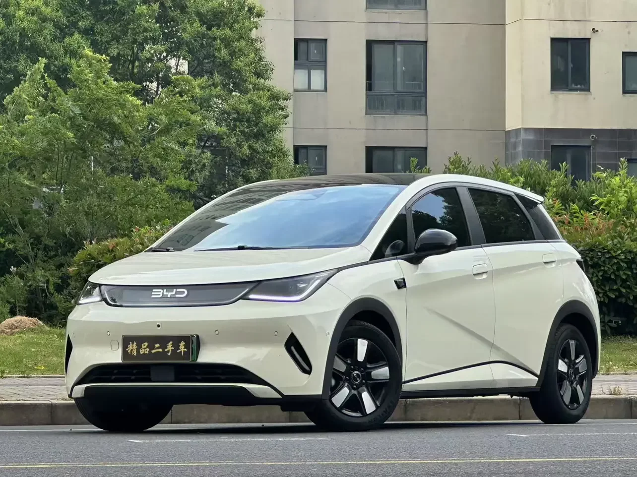 BYD dolphin