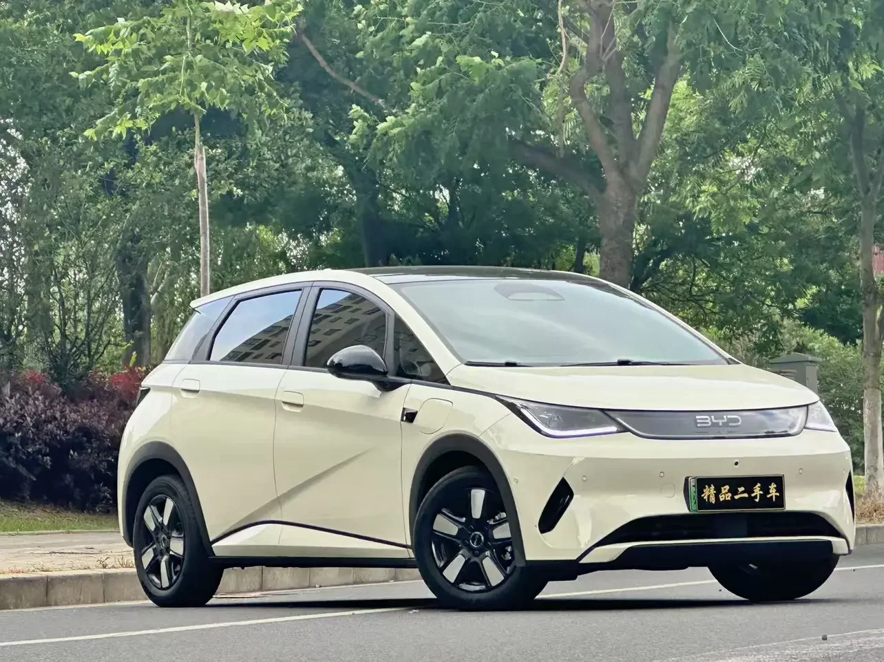 BYD dolphin