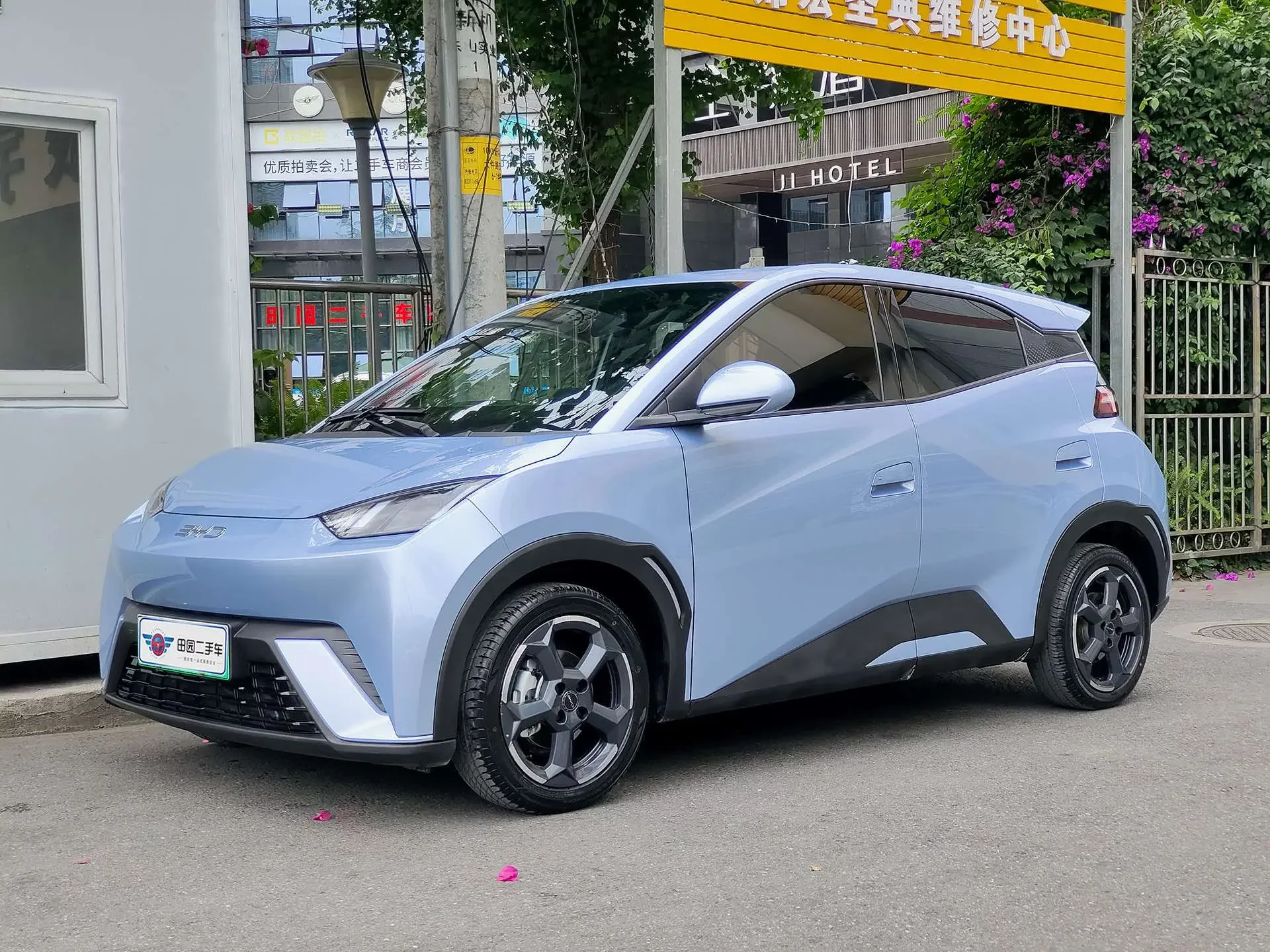 BYD seagull