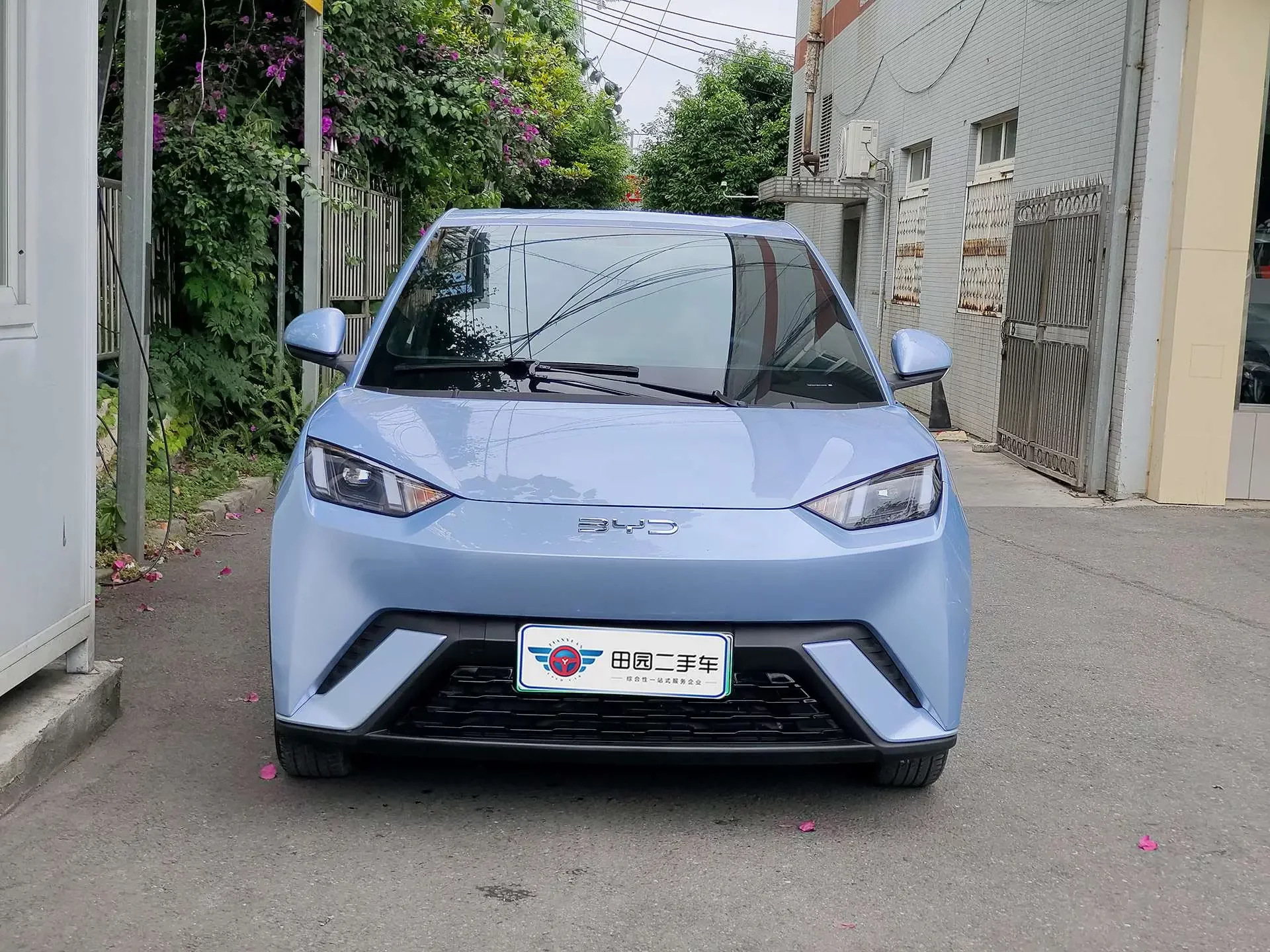 BYD seagull