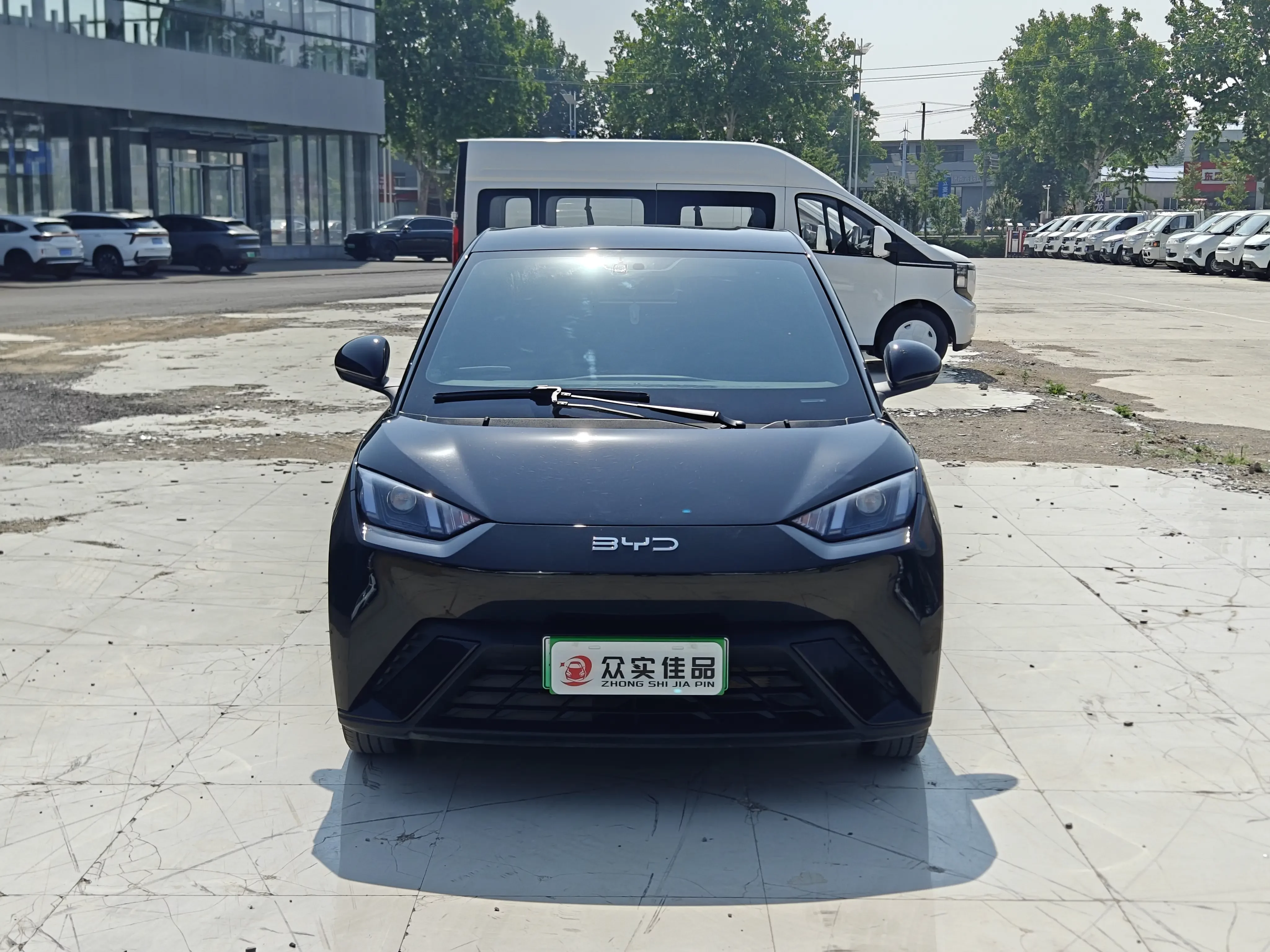 BYD seagull