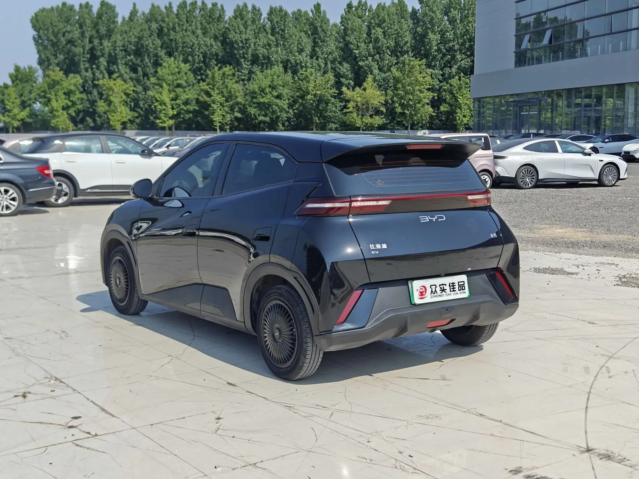 BYD seagull