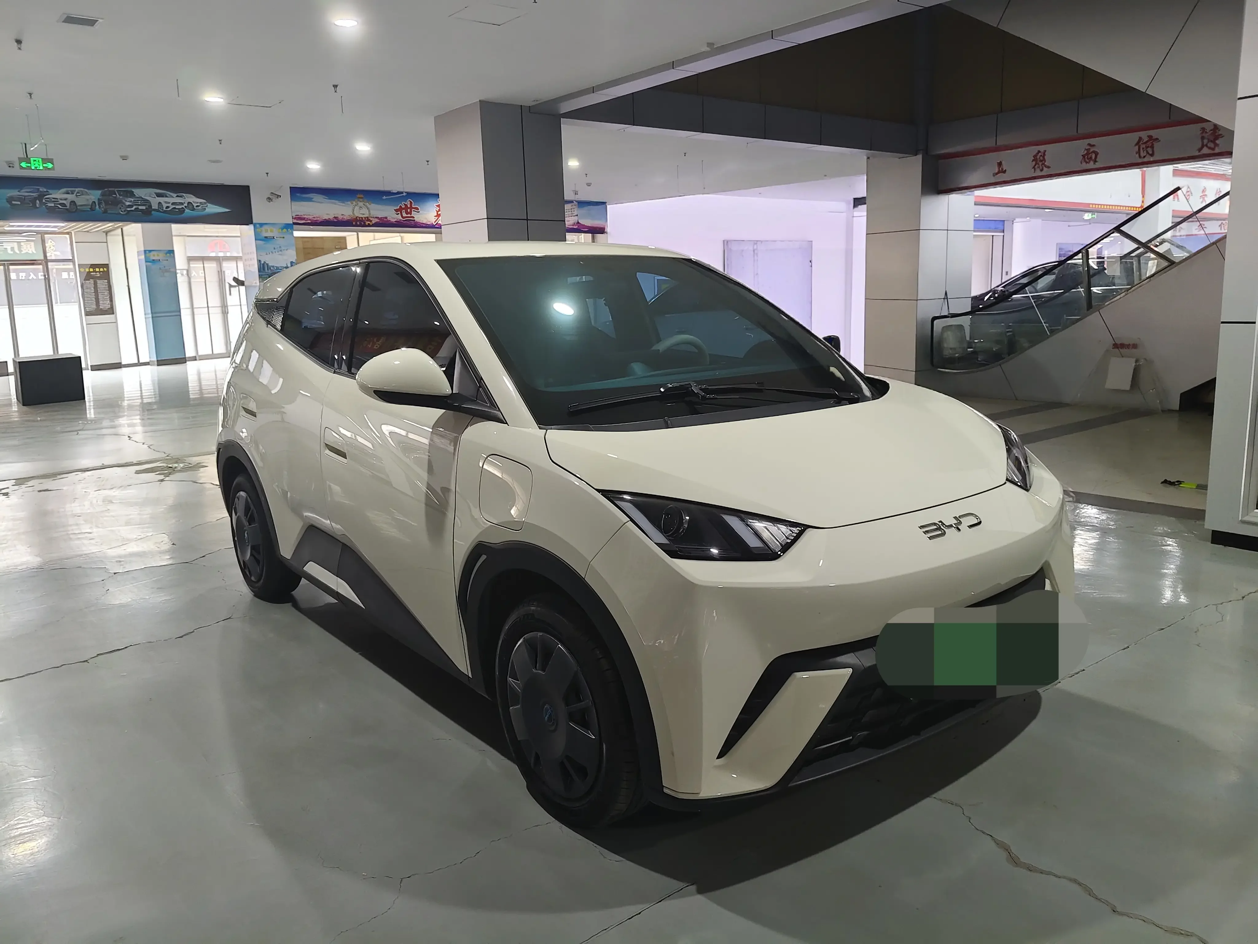 BYD seagull