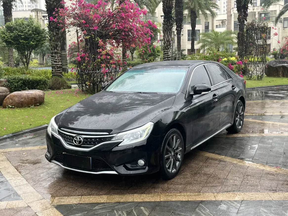 Toyota Ruizhi