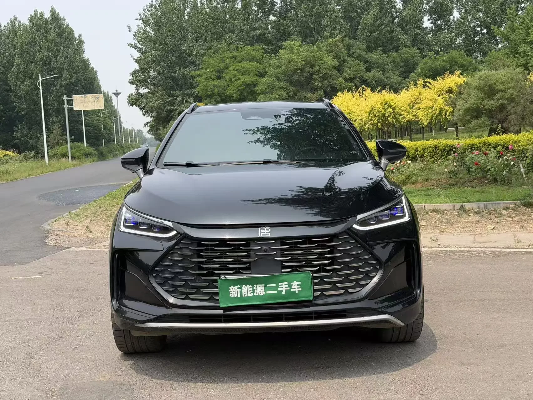 BYD Tang DM