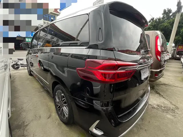 Datong Maxus G20