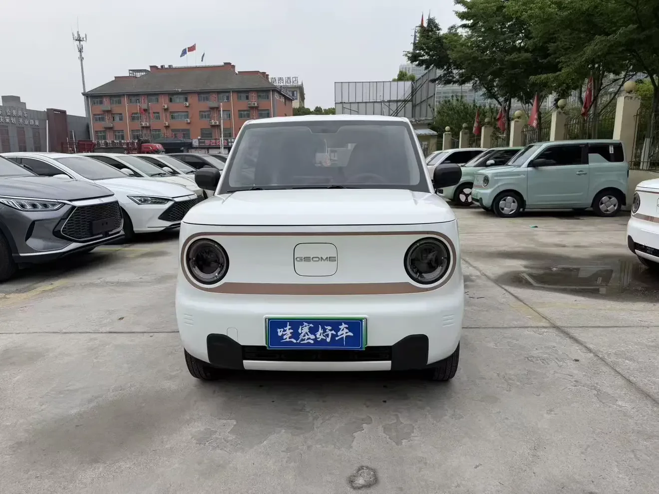 Geely panda