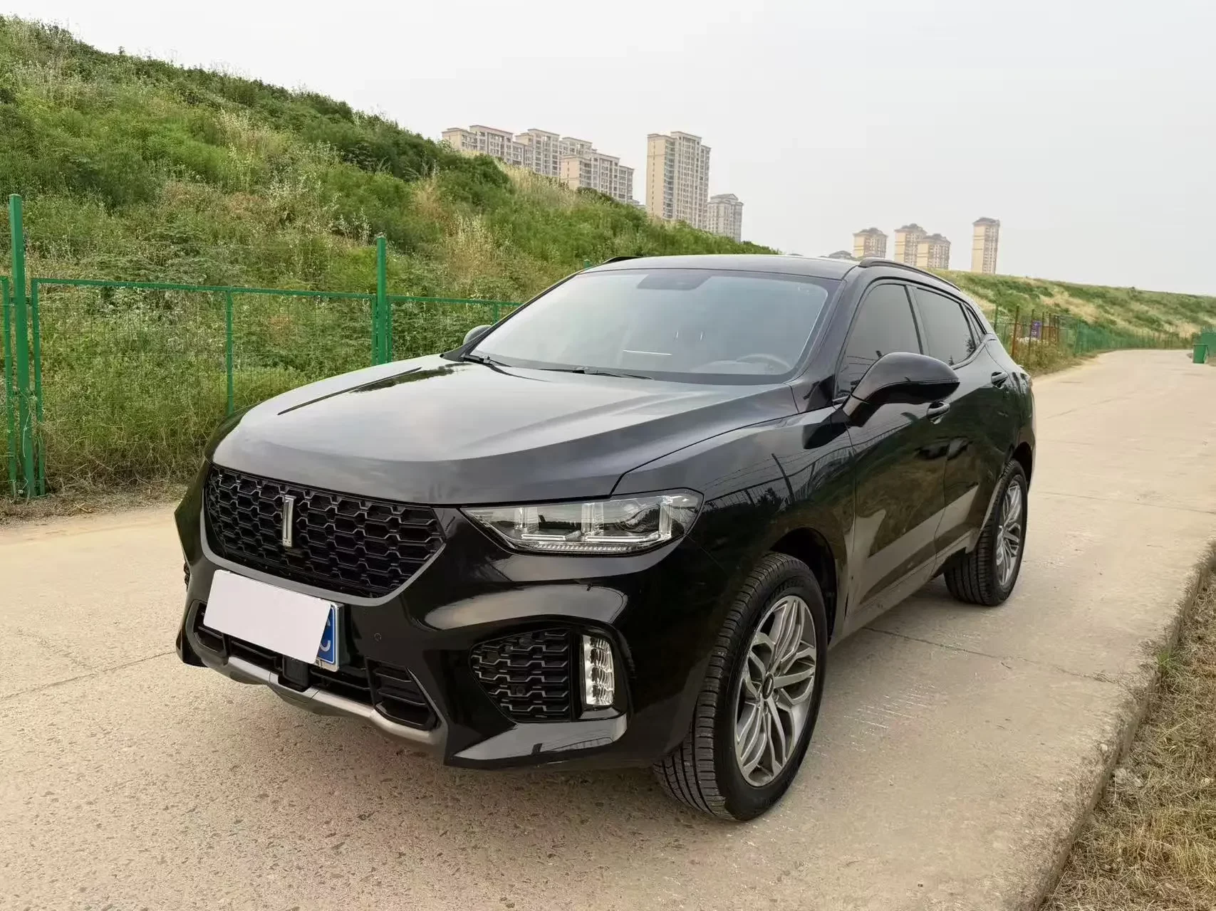 Wey Wei brand VV5