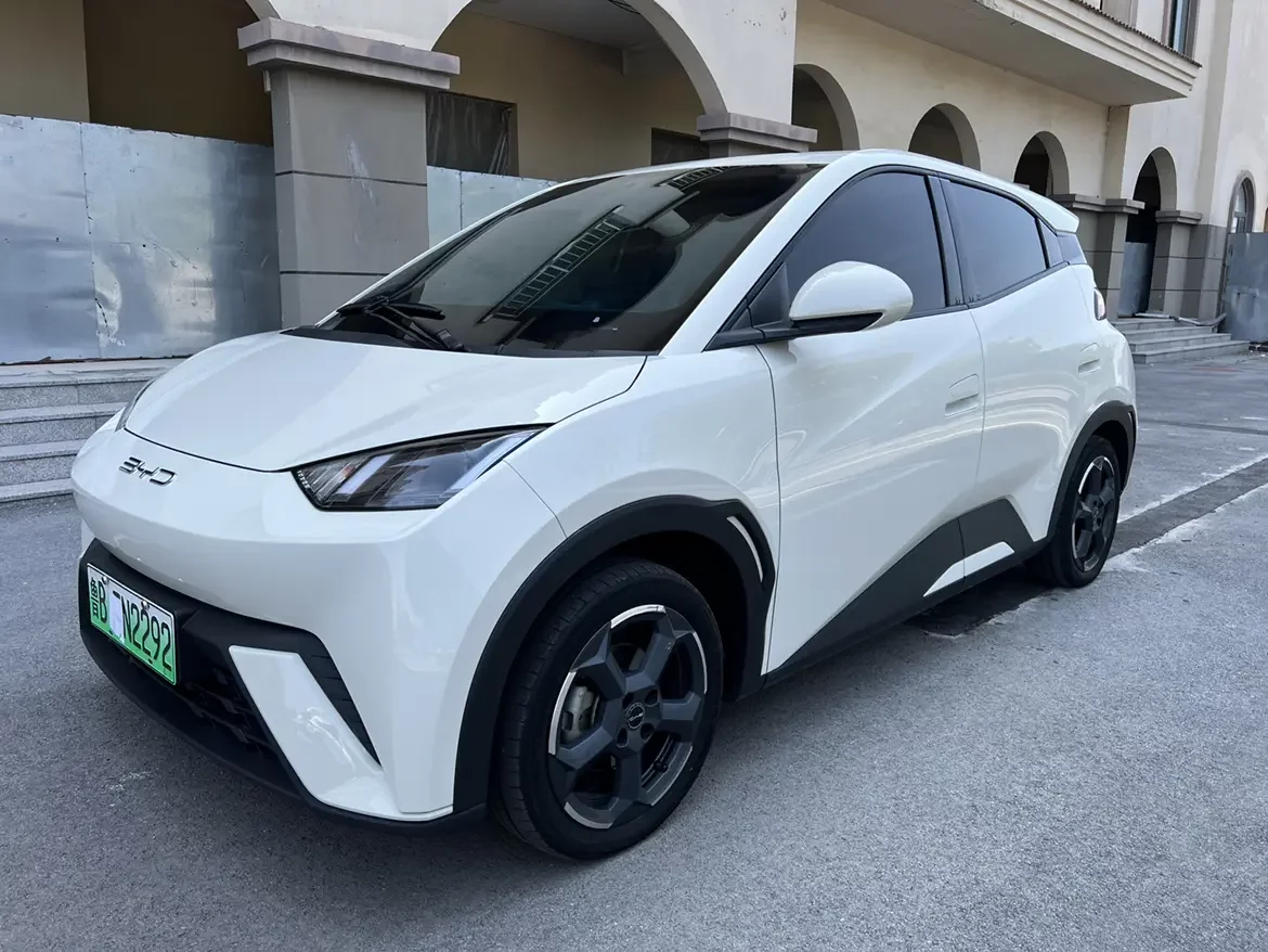 BYD seagull