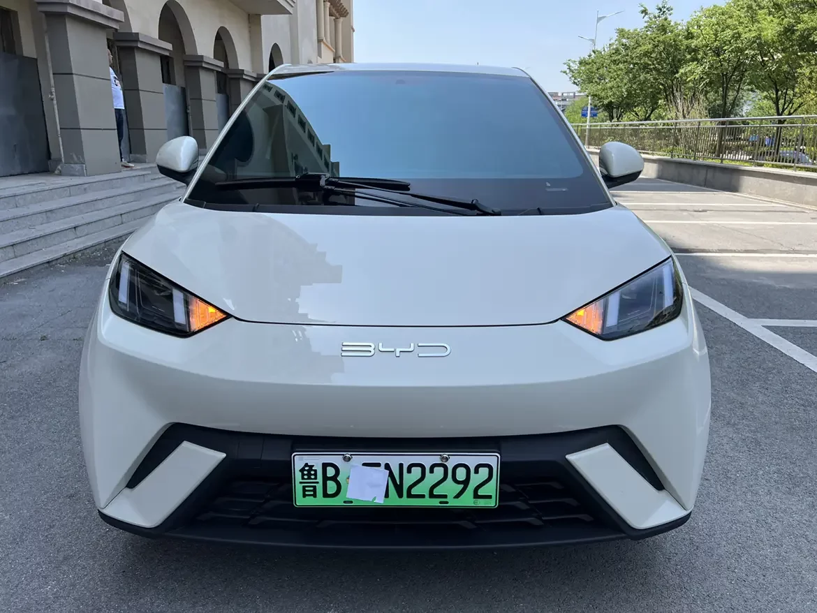 BYD seagull