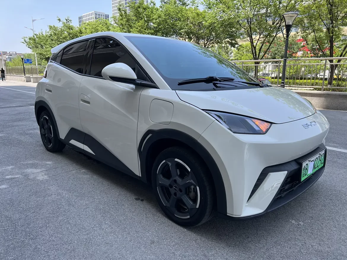 BYD seagull