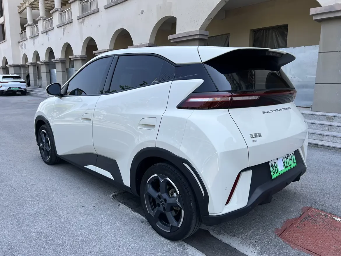 BYD seagull