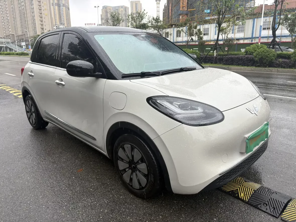 Wuling Bingo