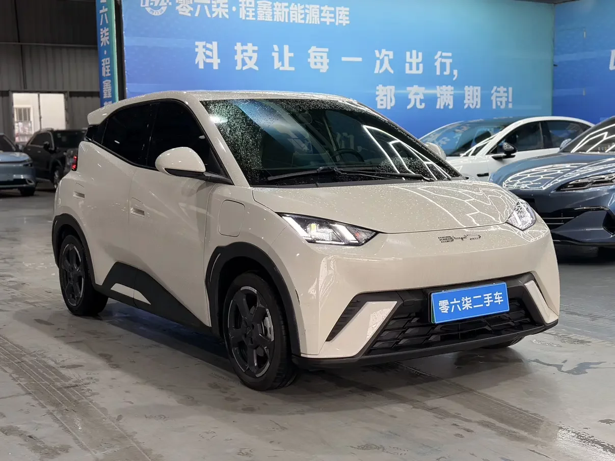 BYD seagull