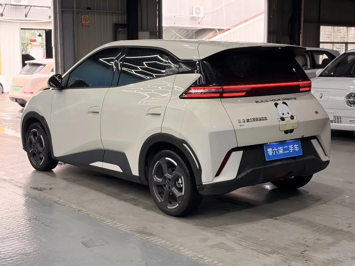 BYD seagull