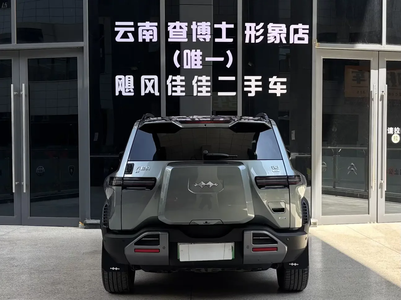 BYD Leopard Titanium 3