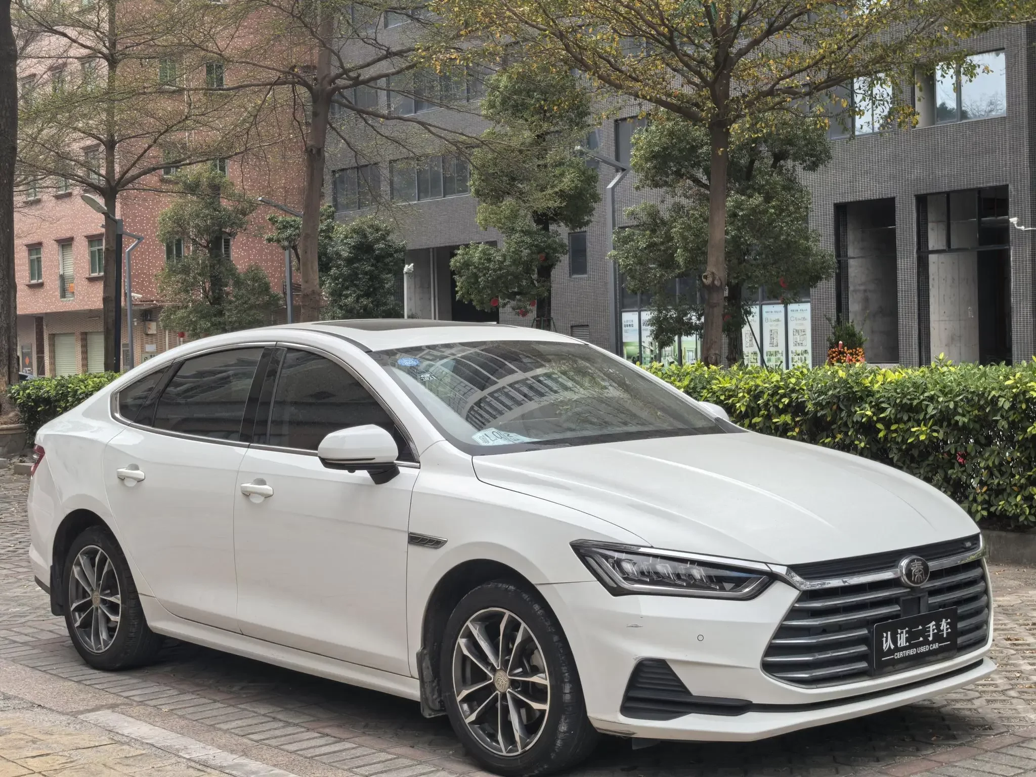 BYD Qin Pro