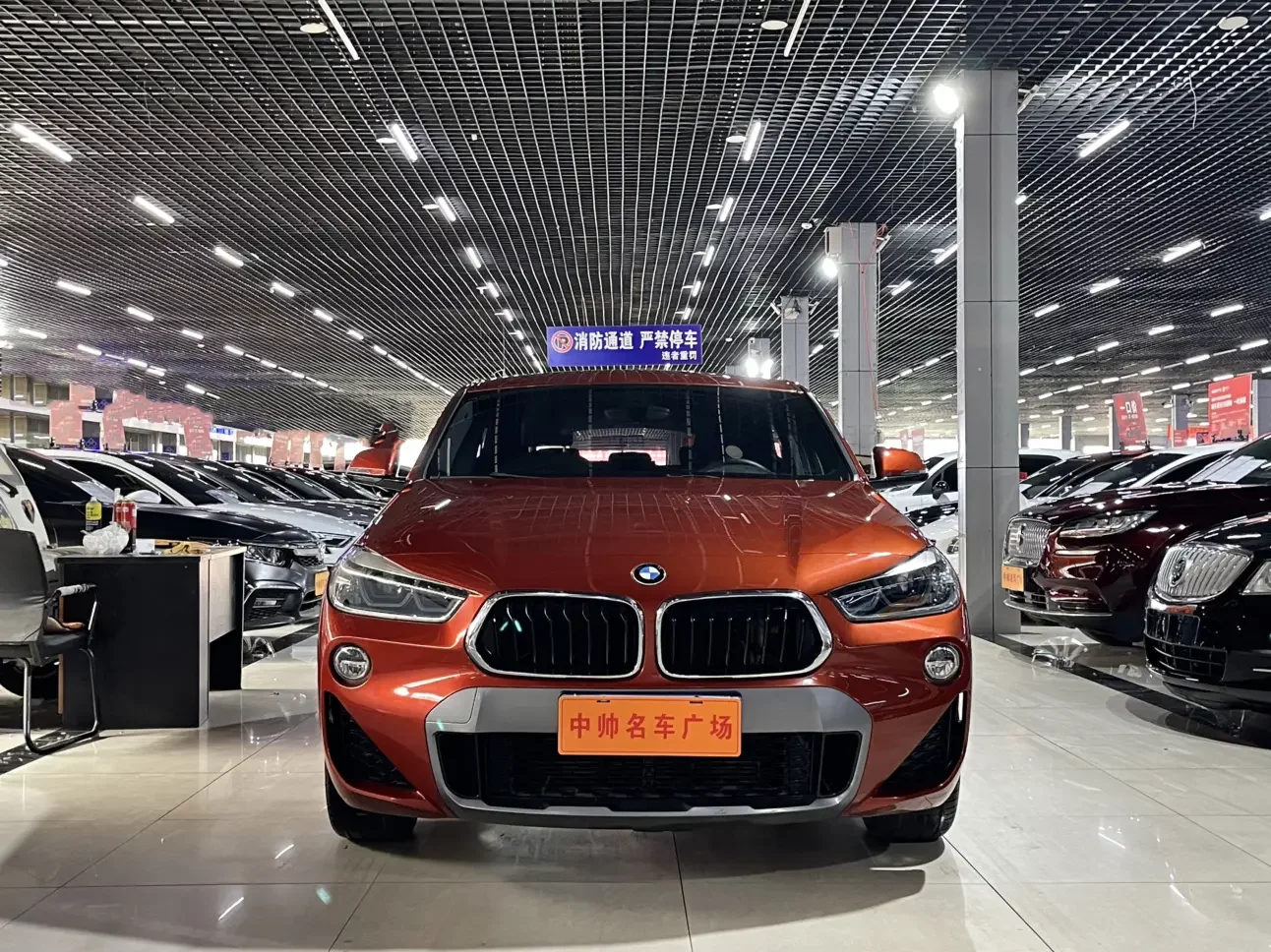 BMW X2