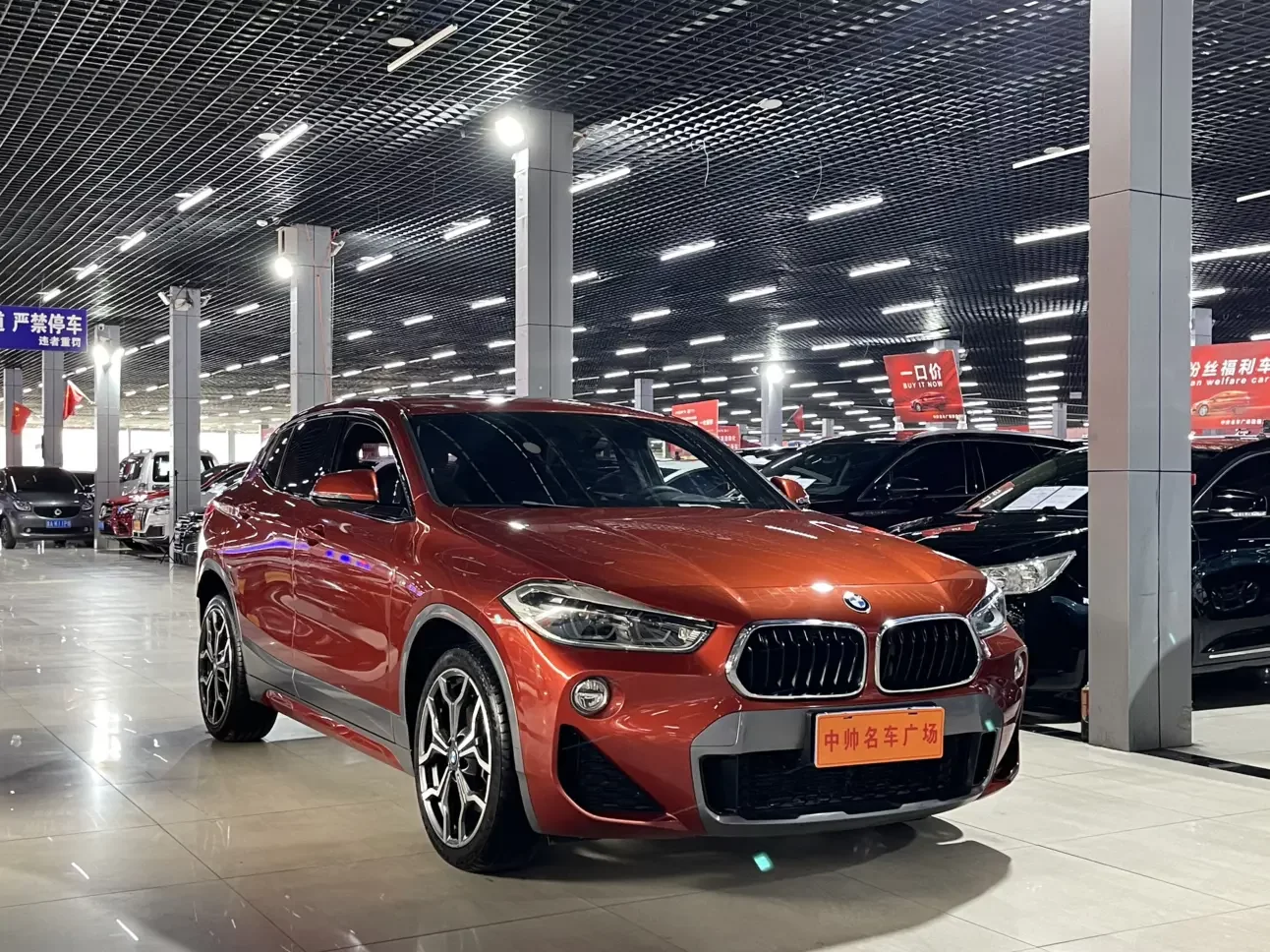 BMW X2