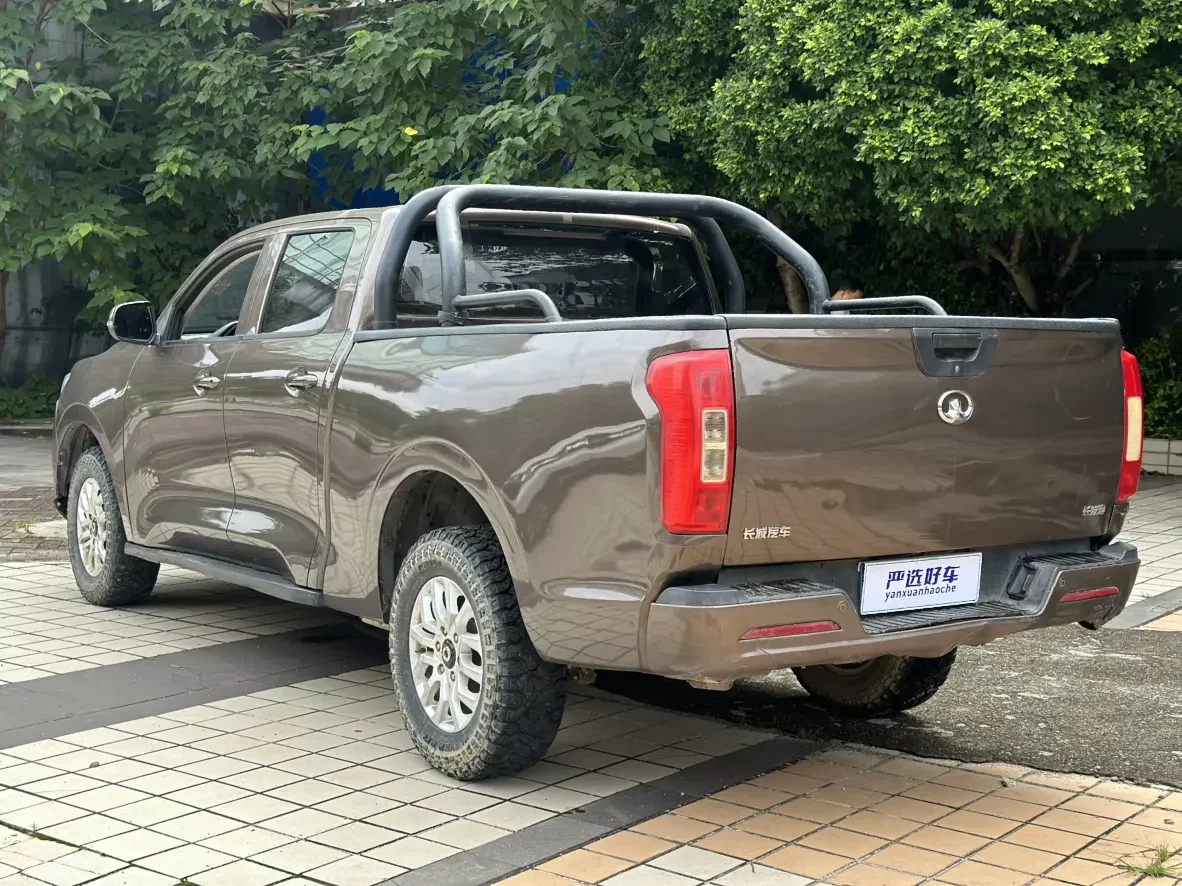 Great Wall gun