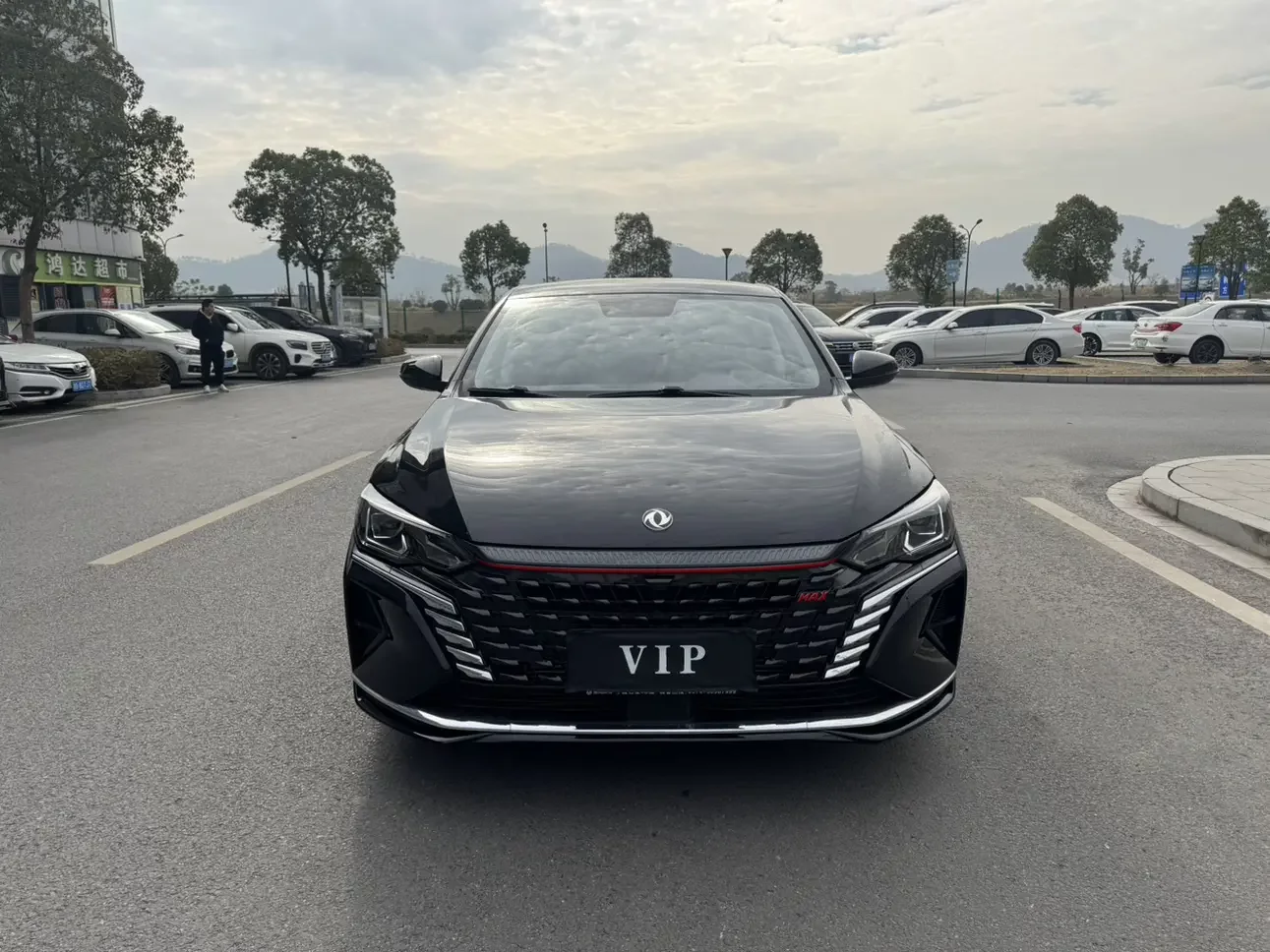 Dongfeng Yixuan MAX