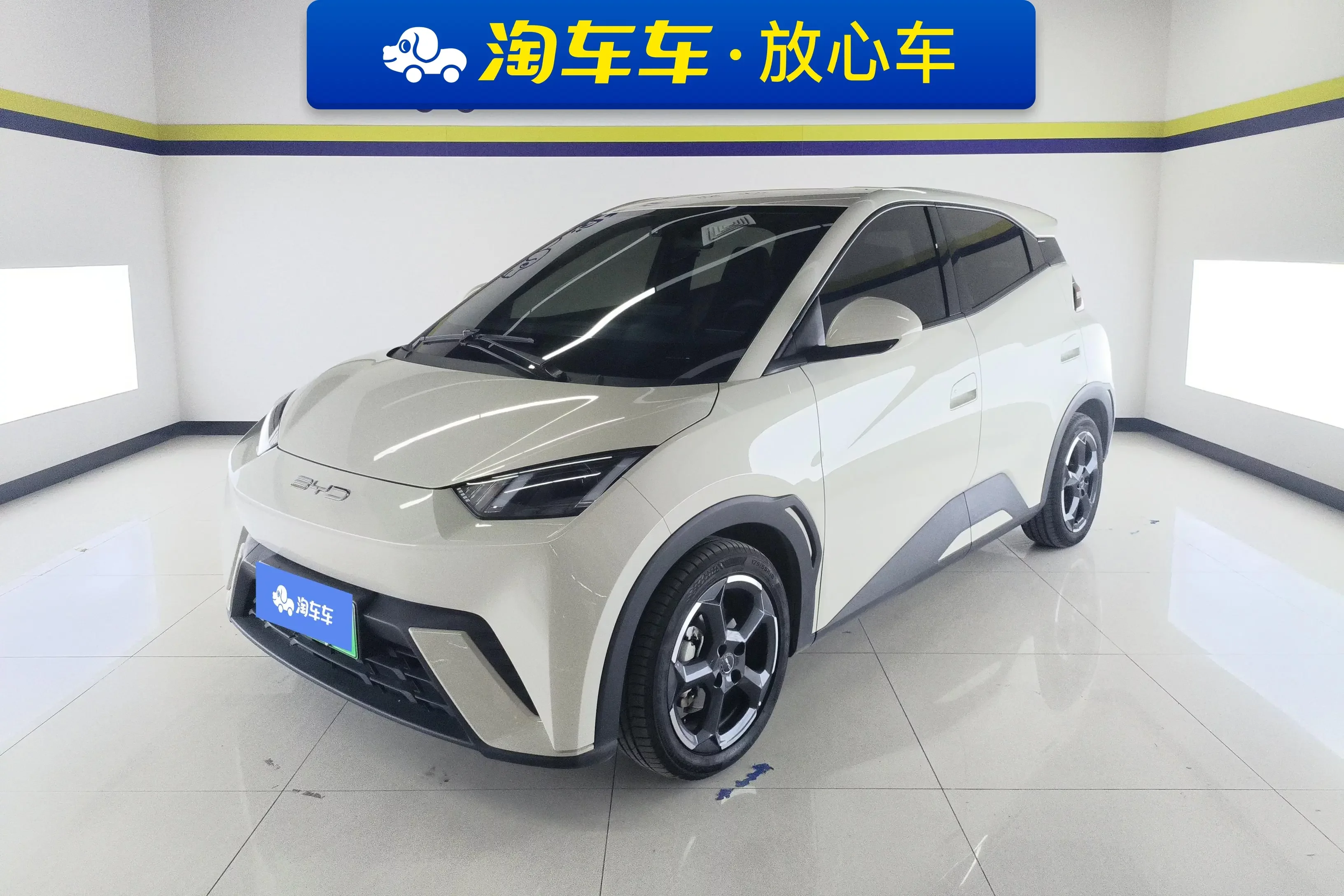 BYD seagull