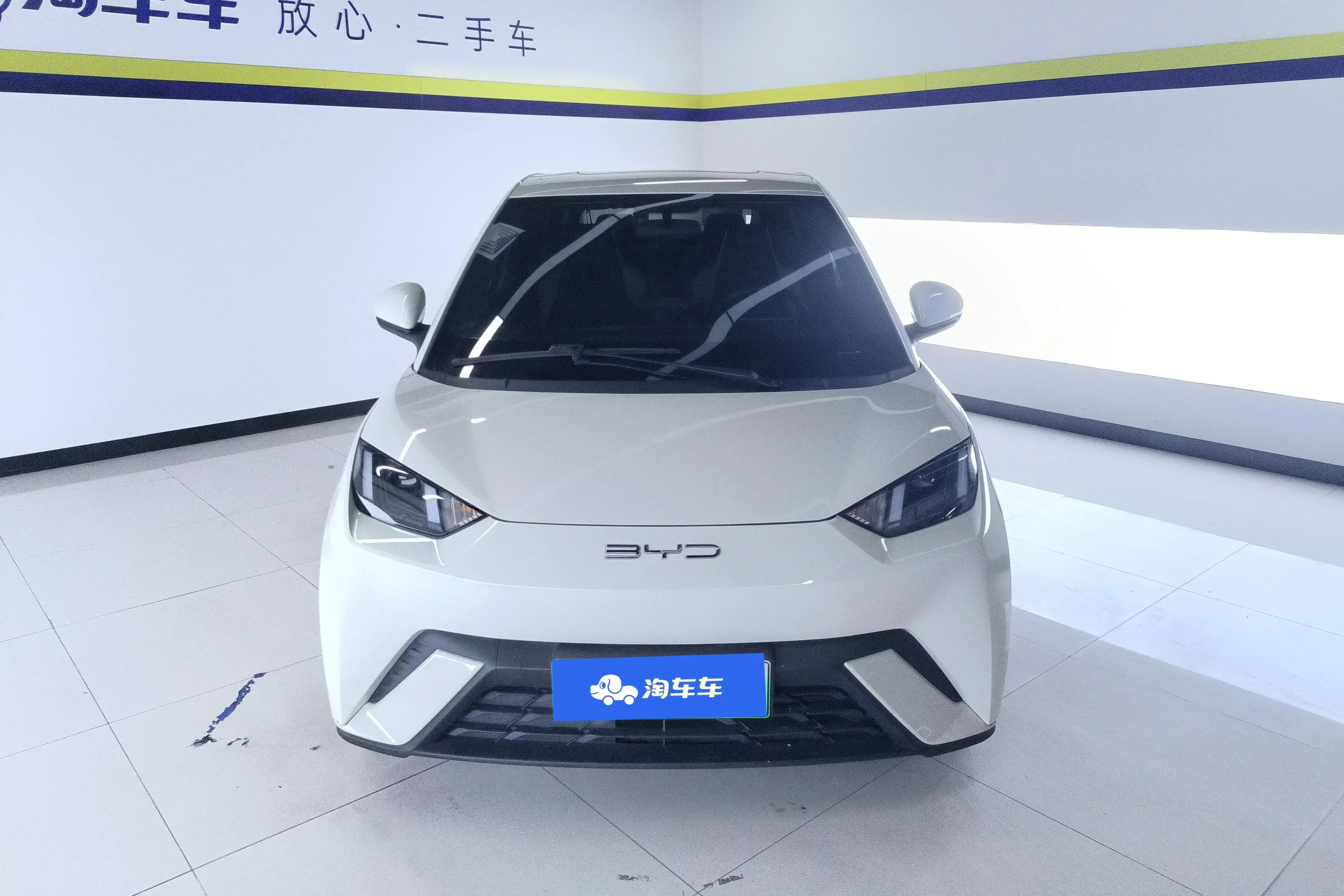 BYD seagull