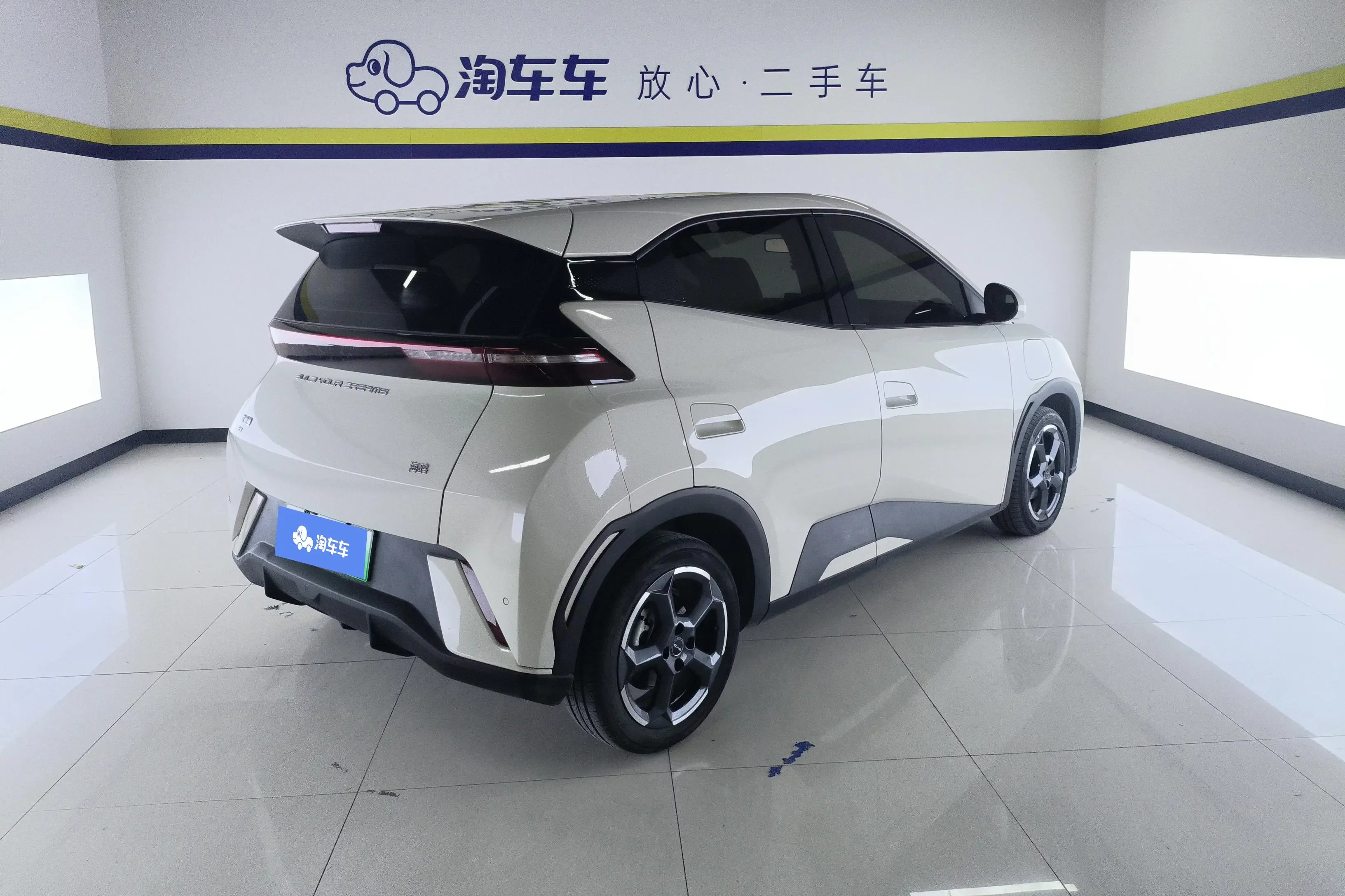 BYD seagull